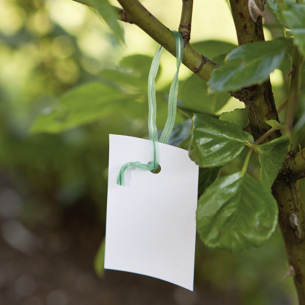 Windhager Bindedraht Windhager Drehbinder 15 cm, 100 Stück