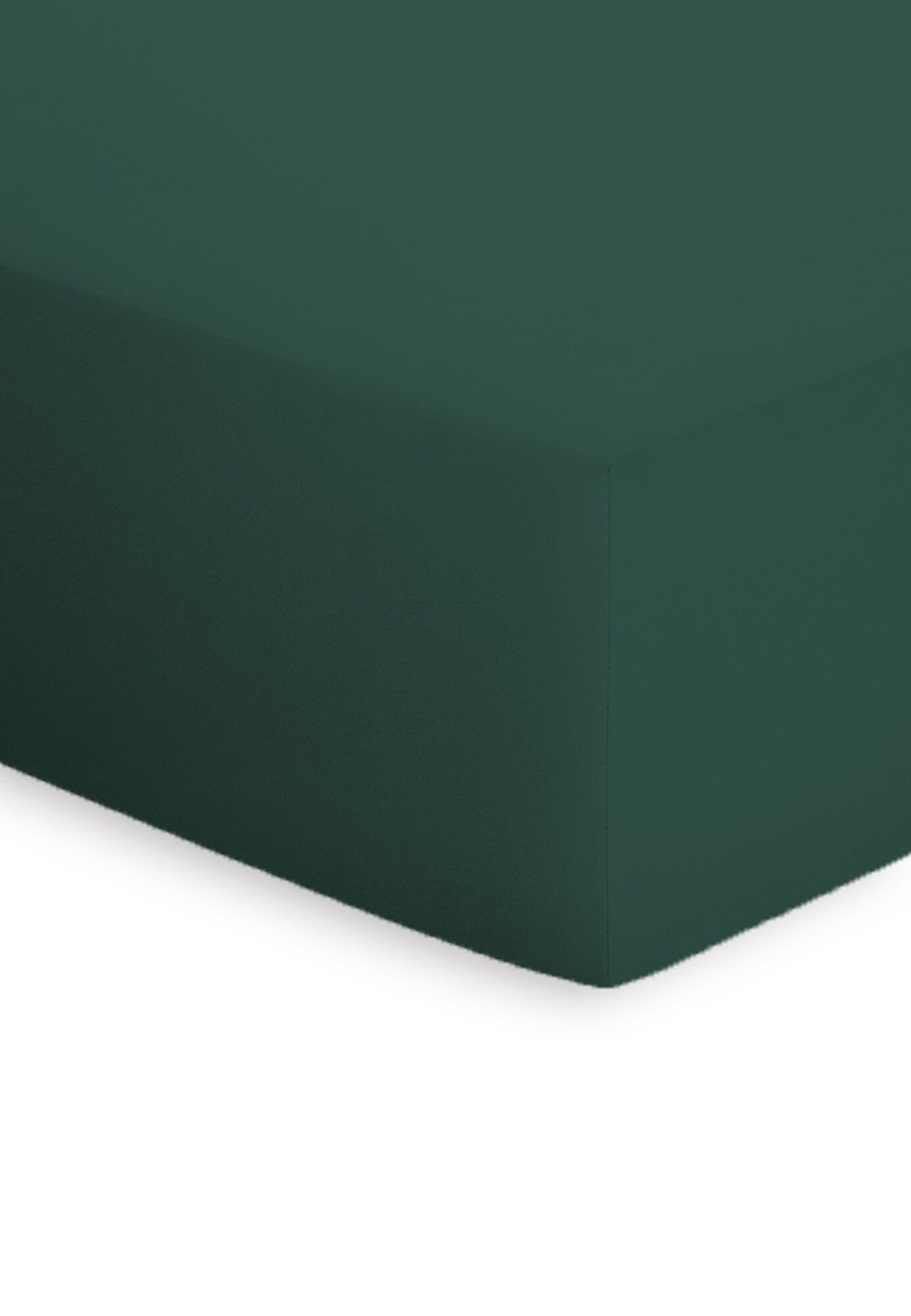 Bassetti Spannbettlaken BOXSPRING, Jersey, (1 Stück), aus weicher Baumwollm günstig online kaufen