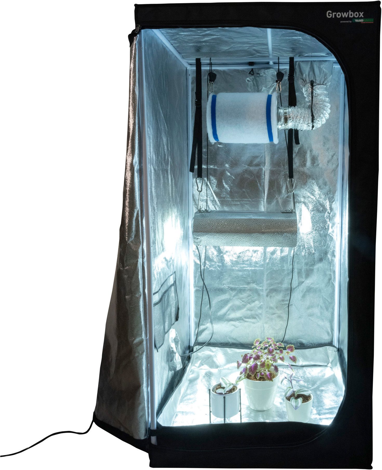 Windhager Gewächshaus Indoor, Growbox komplettes Starterset, Zuchtzelt für Pflanzen, Anbaufläche 0,64 m², 80 x 80 x 160 cm, schwarz
