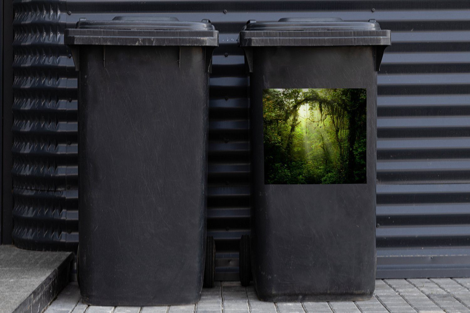 des (1 Bild Costa Rica Sticker, MuchoWow Regenwaldes Mülleimer-aufkleber, Mülltonne, Abfalbehälter Container, von St), Grün Wandsticker getöntes