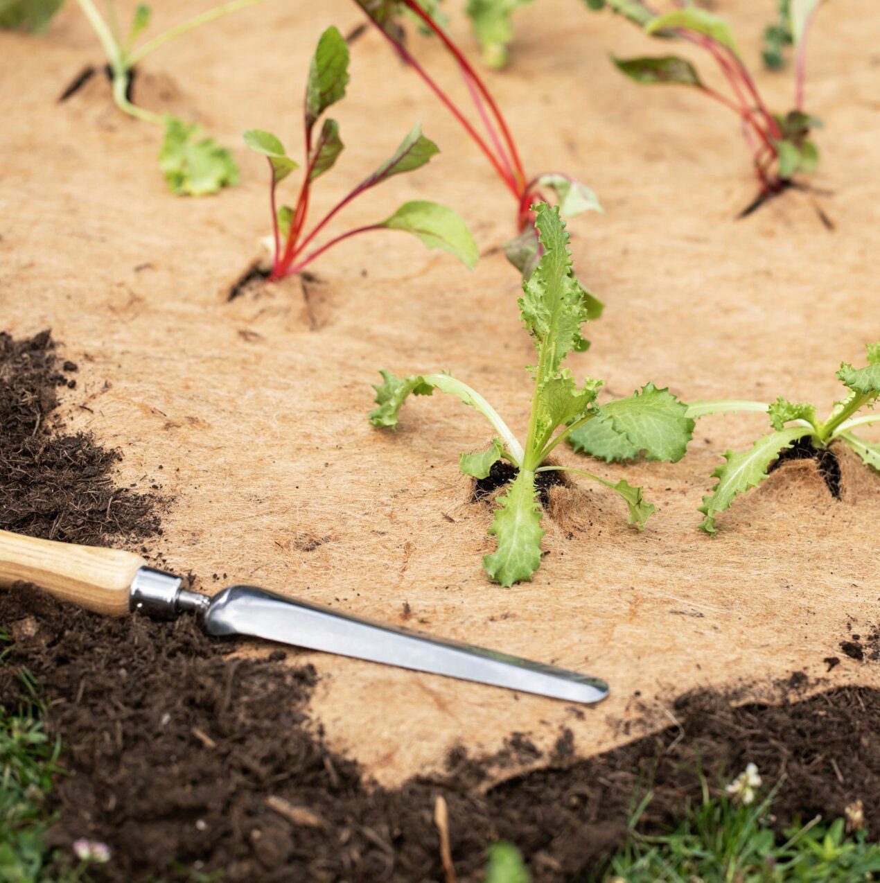 Windhager Gartenvlies aus Jute, Mulchmatte fürs Beet, (1-St), umweltfreundlicher Jutevlies, 0,75 x 4 m