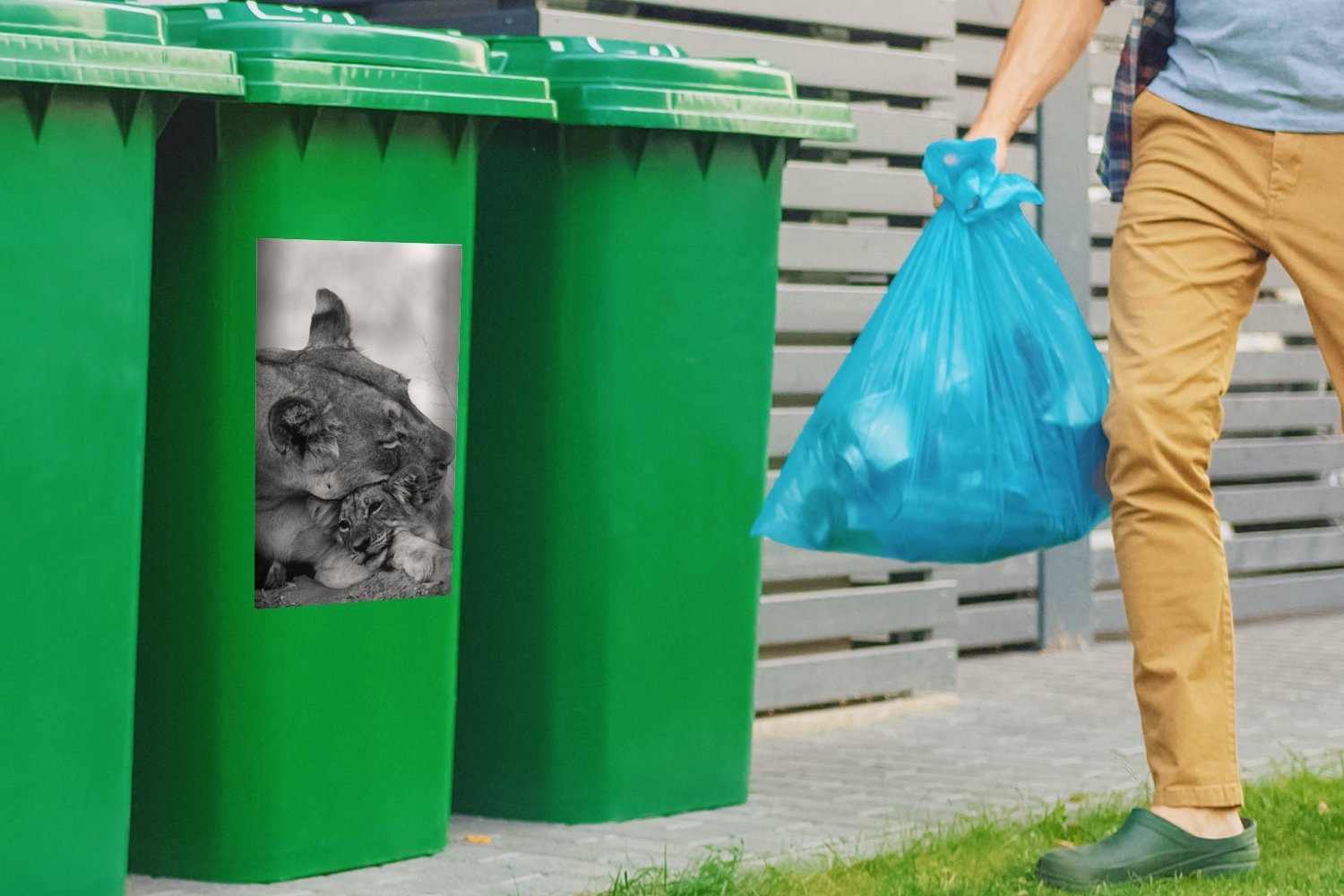 MuchoWow Wandsticker Jungtier St), (1 Sticker, - Schwarz Container, Mülleimer-aufkleber, Mülltonne, - Abfalbehälter Löwin