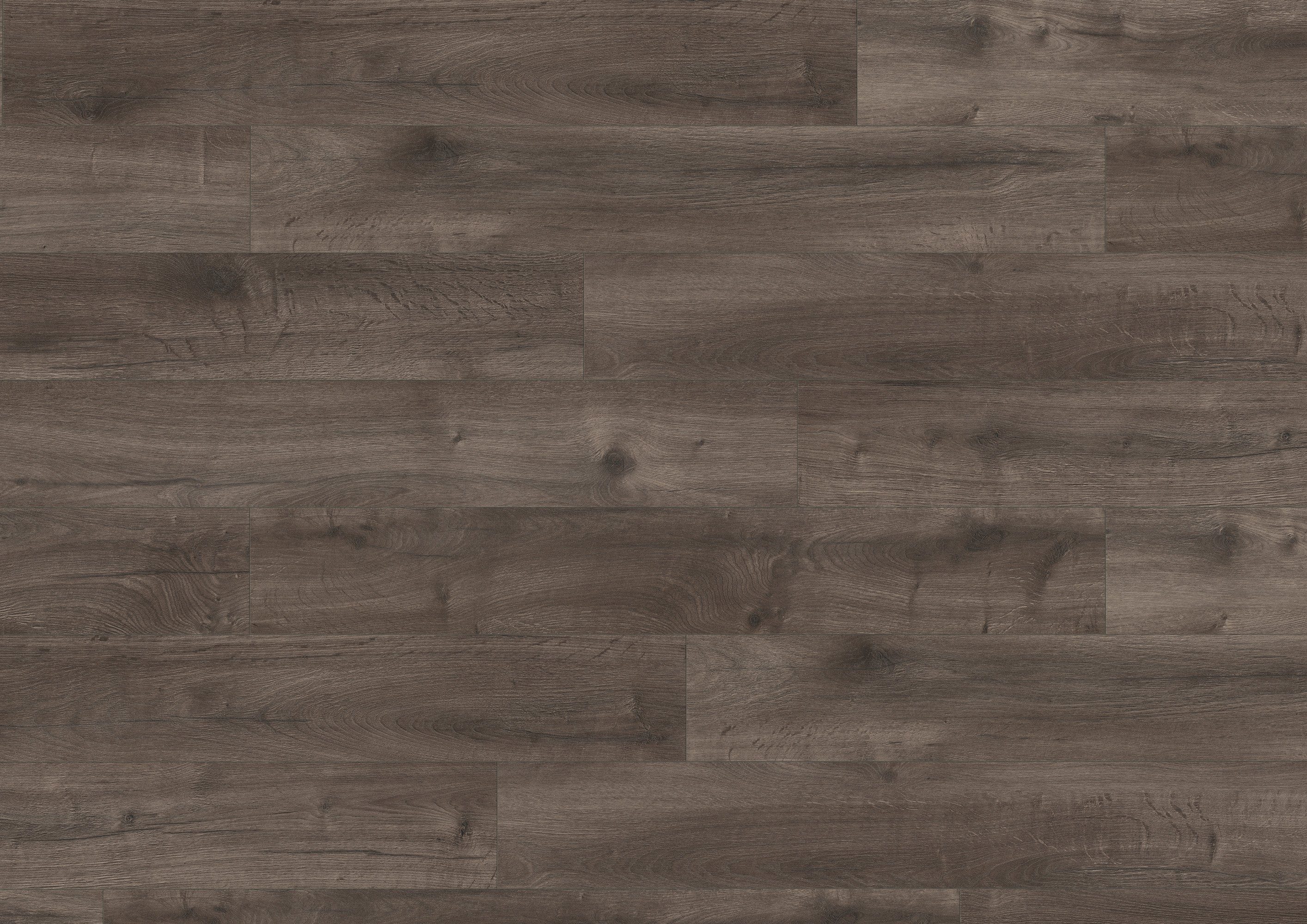 EGGER Laminat EHL144 Loja Eiche grau, (8mm, 1,995qm),Praktisch & wertbeständig