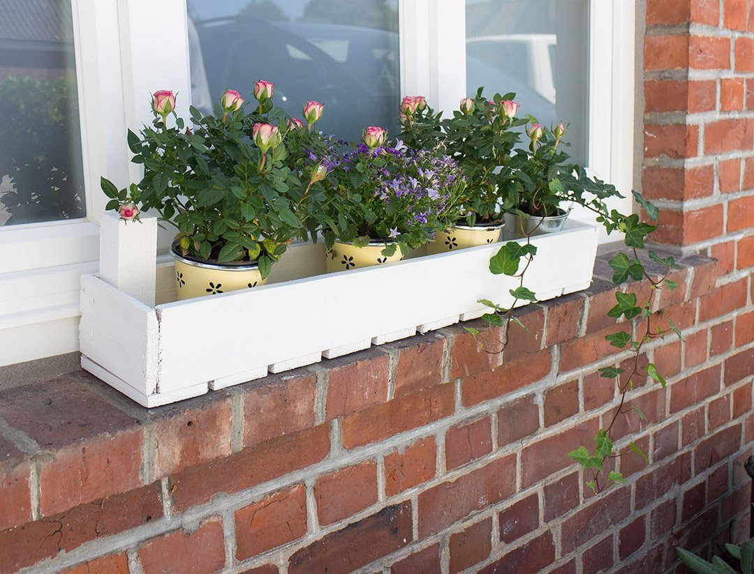 Kistenkolli Altes Land Allzweckkiste Blumensteige Shabby weiss 1/8 50x12,5 x16cm Blumenbeet Pflanzkorb (Spar-Set)