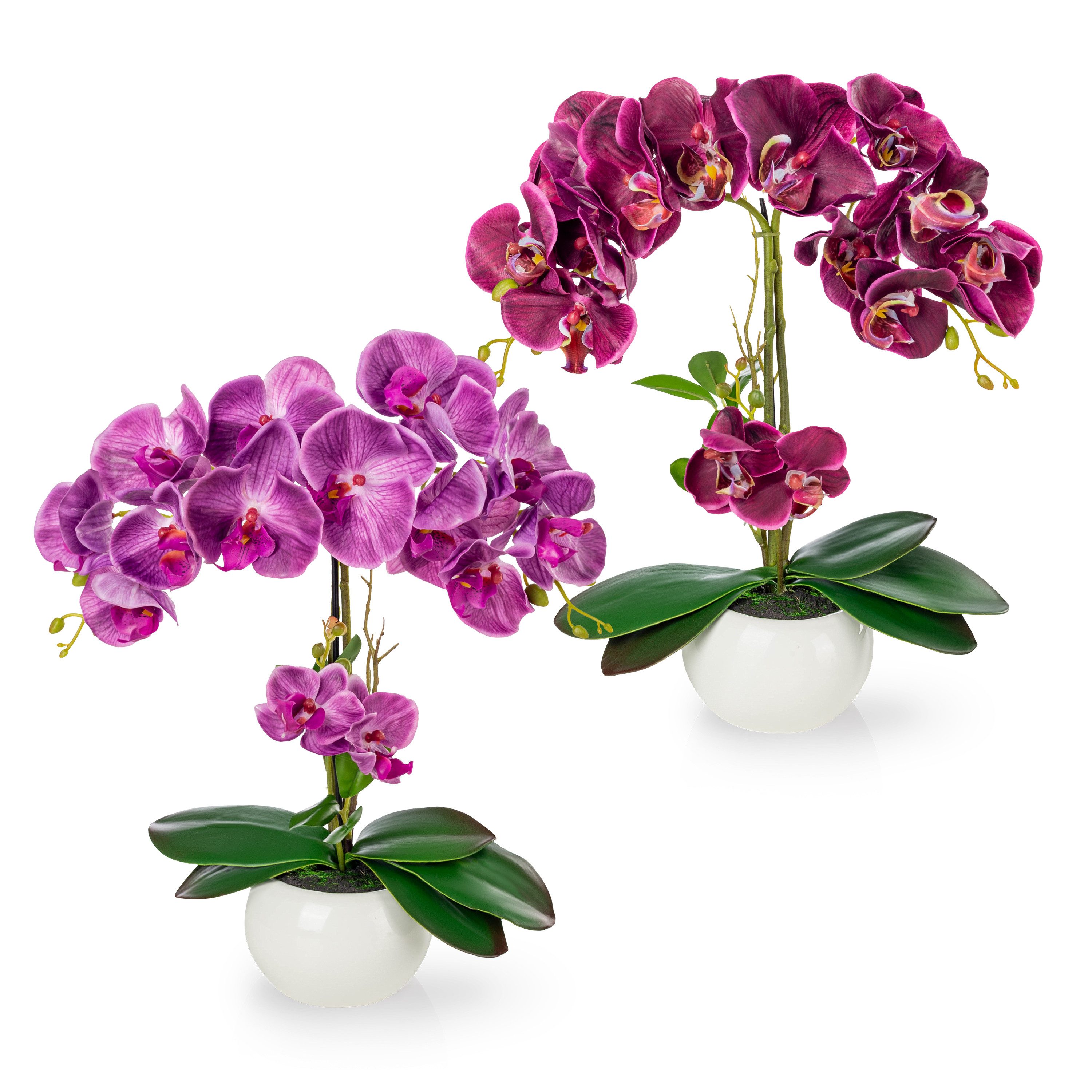 Kunstorchidee PASCH® Orchidee künstlich wie echt (40cm) in Hochglanz-Keramiktopf Orchidee, PASCH