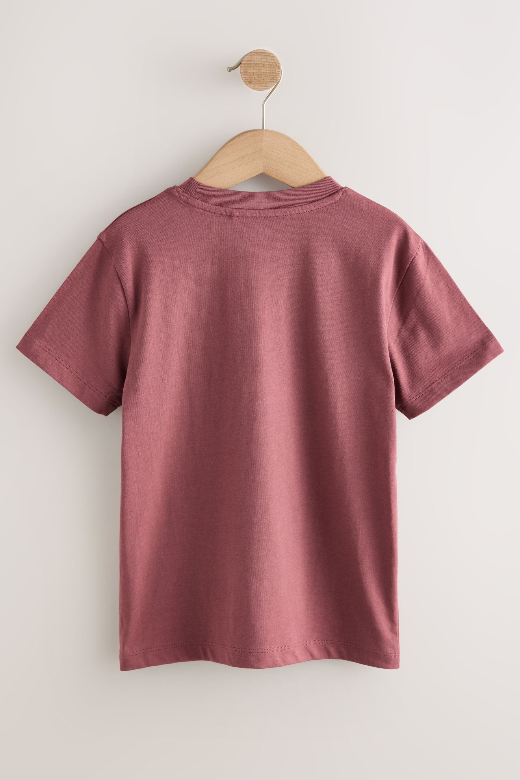Next T-Shirt Regular Fit Kurzarm-T-Shirt (1-tlg)