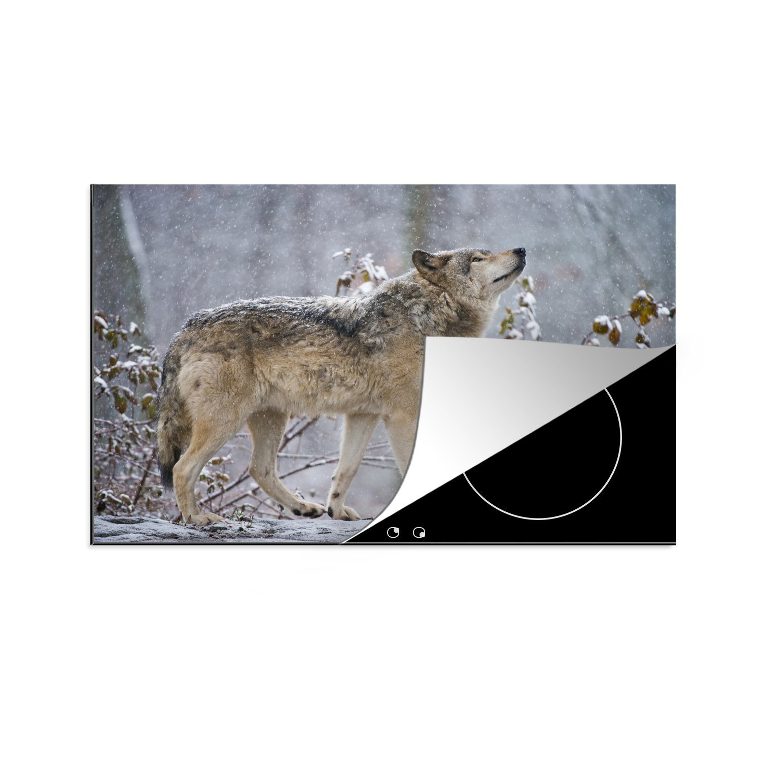 MuchoWow Herdblende-/Abdeckplatte Wolf - Schnee - Winter, Vinyl, (1 tlg), 81x52 cm, Induktionskochfeld Schutz für die küche, Ceranfeldabdeckung