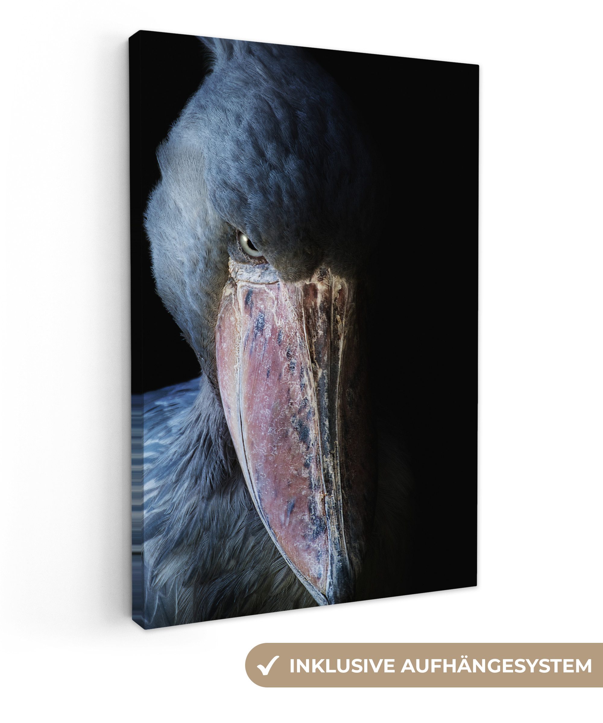OneMillionCanvasses® Leinwandbild Mysteriöser Schuhschnabel, Fotodruck (1 günstig online kaufen