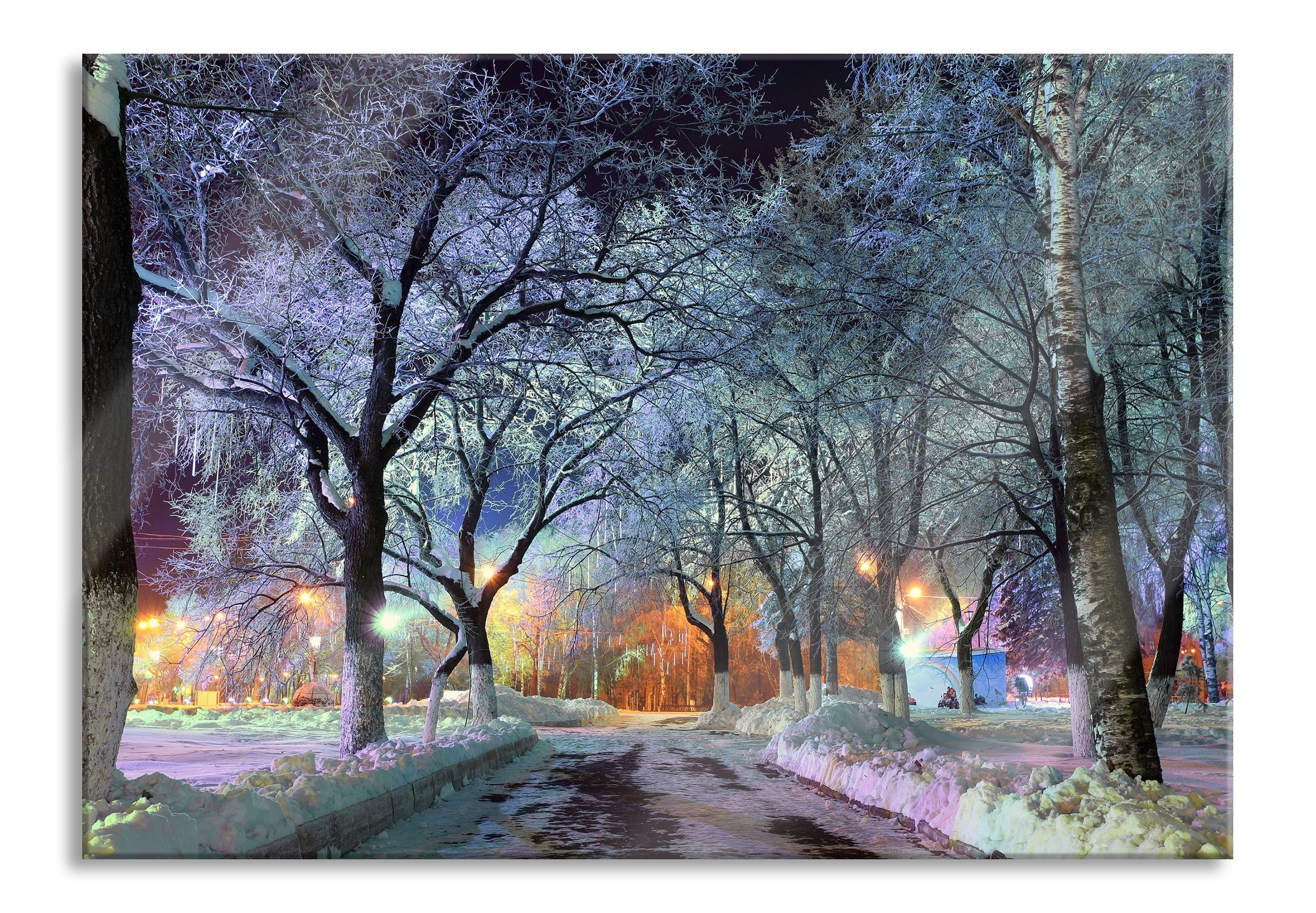 Glasbild Baumallee im Winter