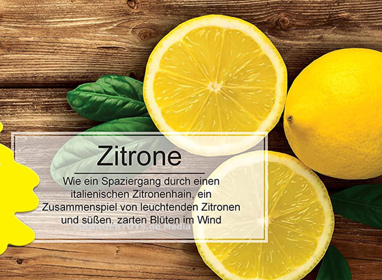 Michelin Expert Limette Zitrus Sprühdose 400 ml Cockpit-Reiniger