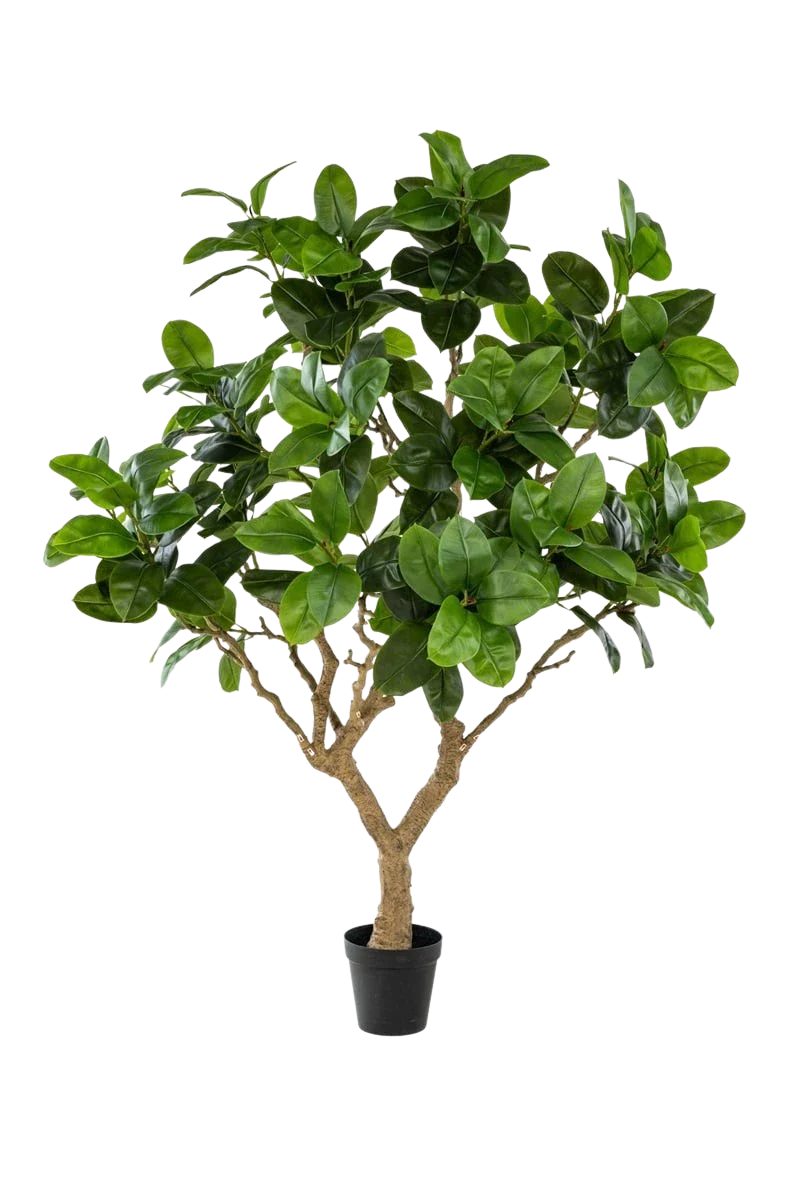 Kunstbaum Künstlicher Gummibaum - Temptus, 240 cm, Emerald, Höhe 240 cm