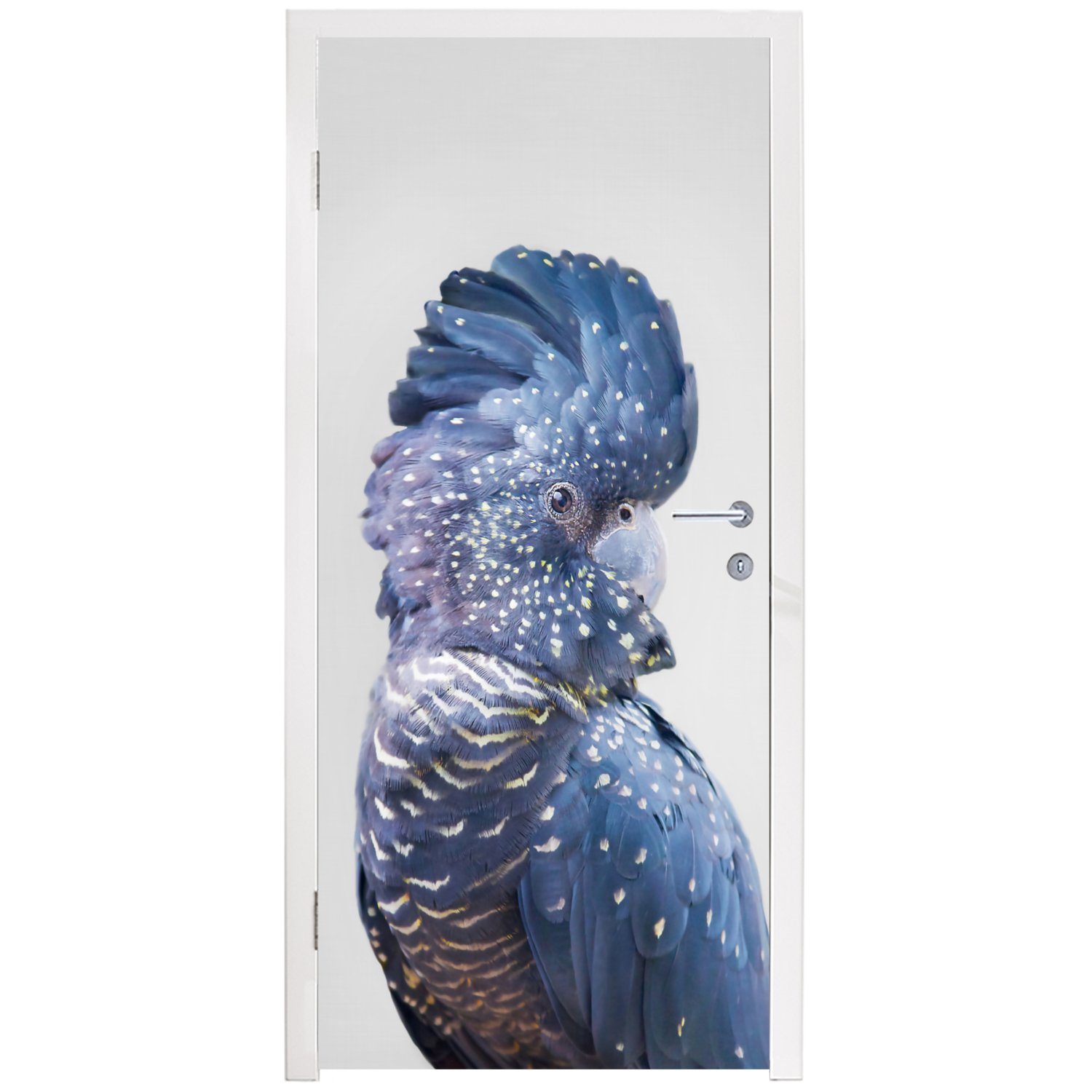 MuchoWow Türtapete Kakadu - Matt, 75x205 Blau - Türaufkleber, Tür, St), Tiere cm Fototapete bedruckt, - (1 für Natur
