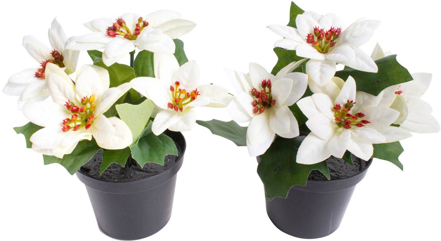 Künstliche Zimmerpflanze Mini-Poinsettie im 14 cm Botanic-Haus, Kunststofftopf, Höhe