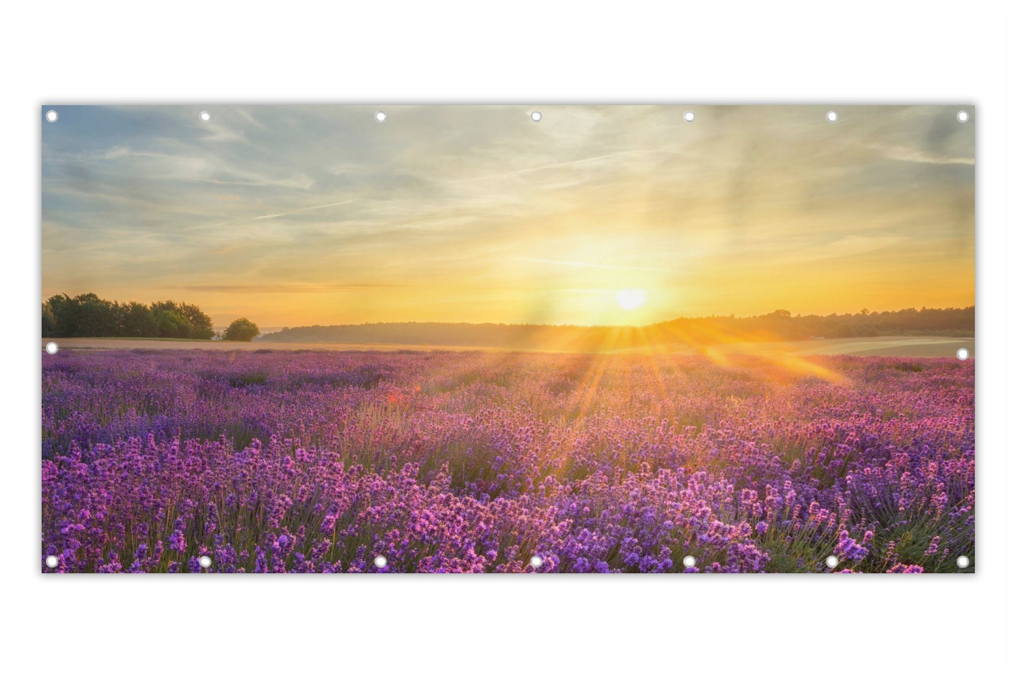 MuchoWow Balkonsichtschutz Lavendel Sonnenuntergang Bäume Lila (1