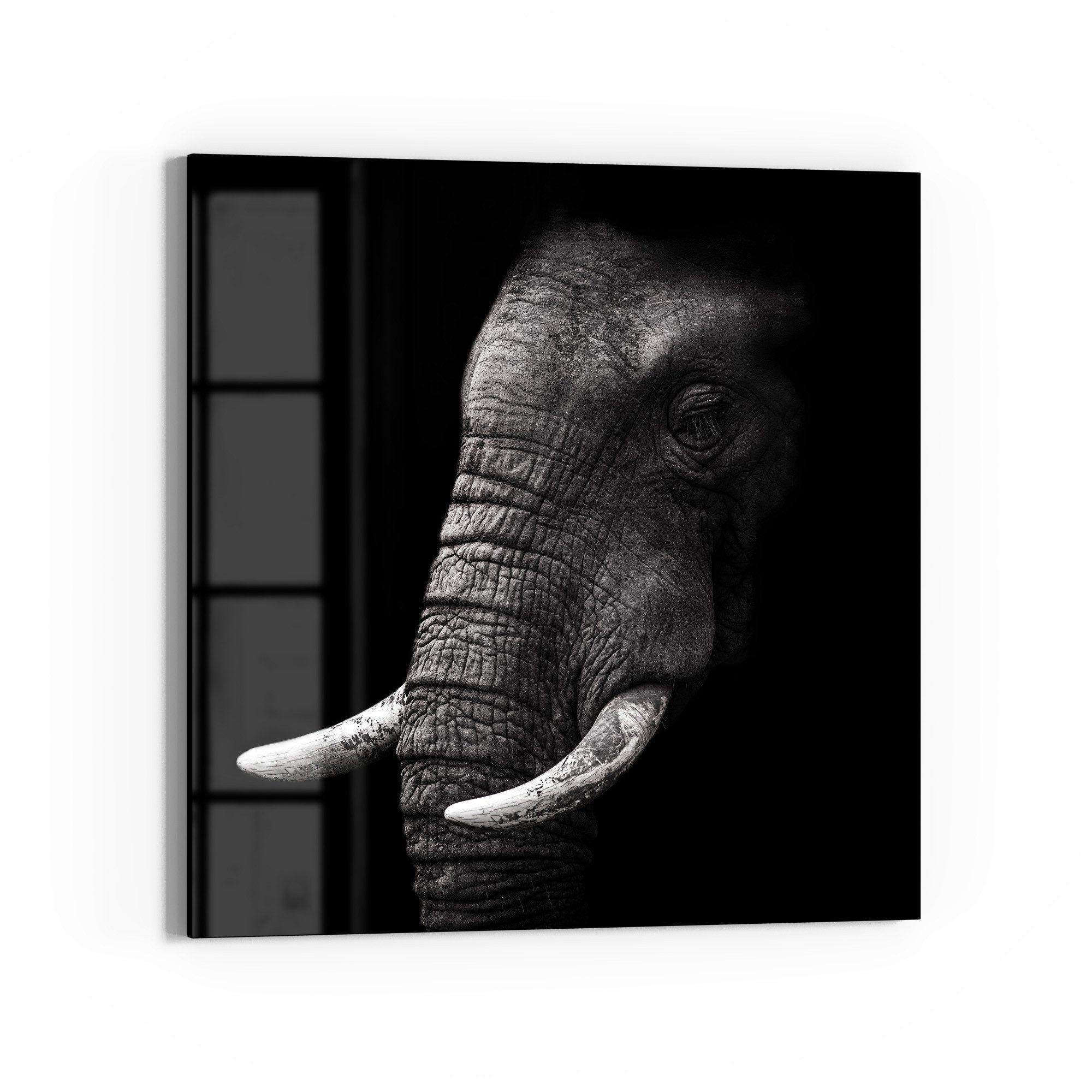 DEQORI Glasbild 'Weisheit der Wildnis', 'Weisheit der Wildnis', Glas Wandbild Bild schwebend modern