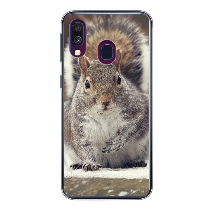 MuchoWow Handyhülle Eichhörnchen - Wildtier - Winter Handyhülle Samsung Galaxy A40 Smartphone-Bumper Print Handy