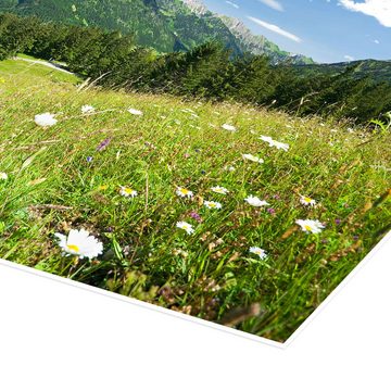 Posterlounge Poster bildpics, Almwiese Allgäuer Alpen, Fotografie