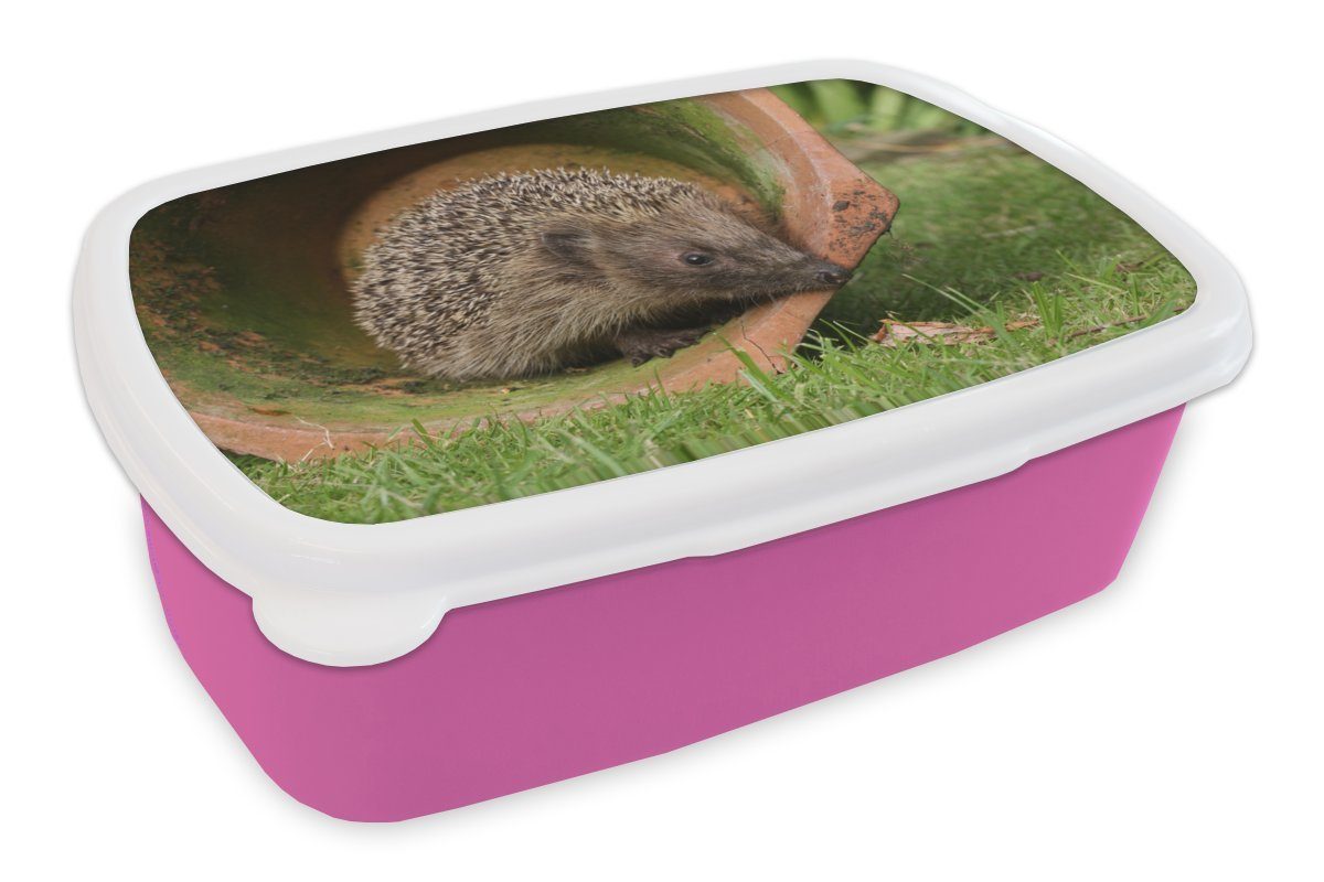 MuchoWow Lunchbox Igel im Einmachglas, Kunststoff, (2-tlg), Brotbox für Erwachsene, Brotdose Kinder, Snackbox, Mädchen, Kunststoff rosa