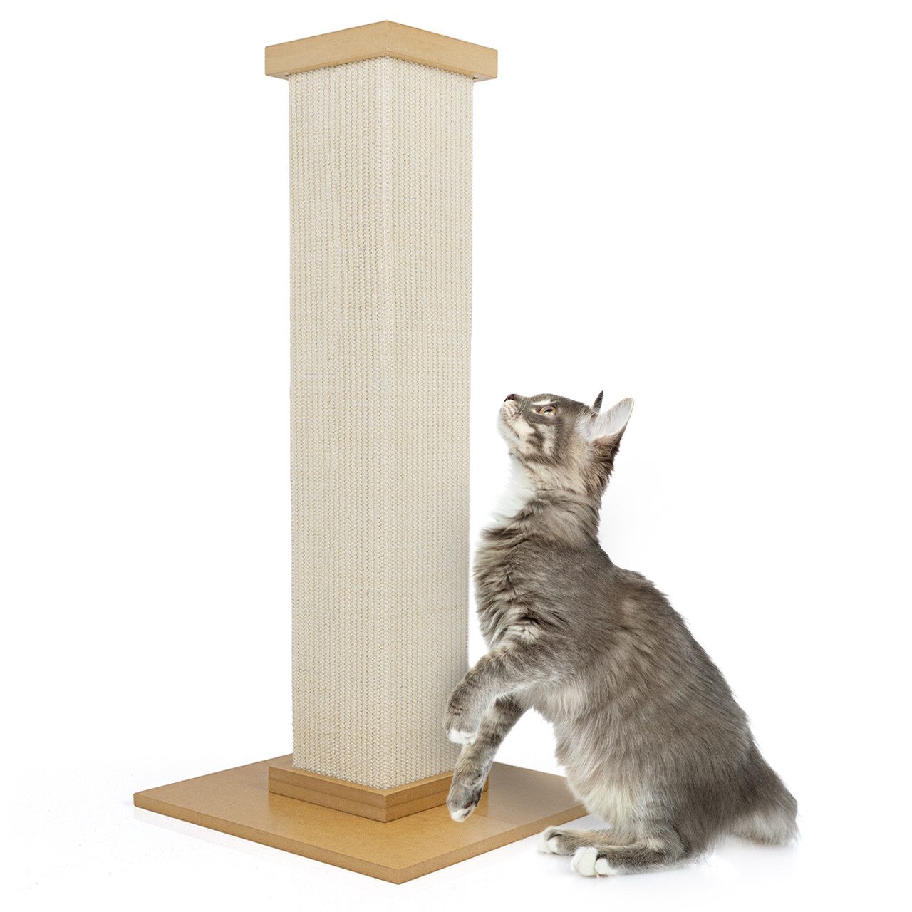 Canadian Cat Company Kratzsäule Kratzstamm Kenny, Kratzsäule Ø14 cm, 40 x 40 x 84 cm