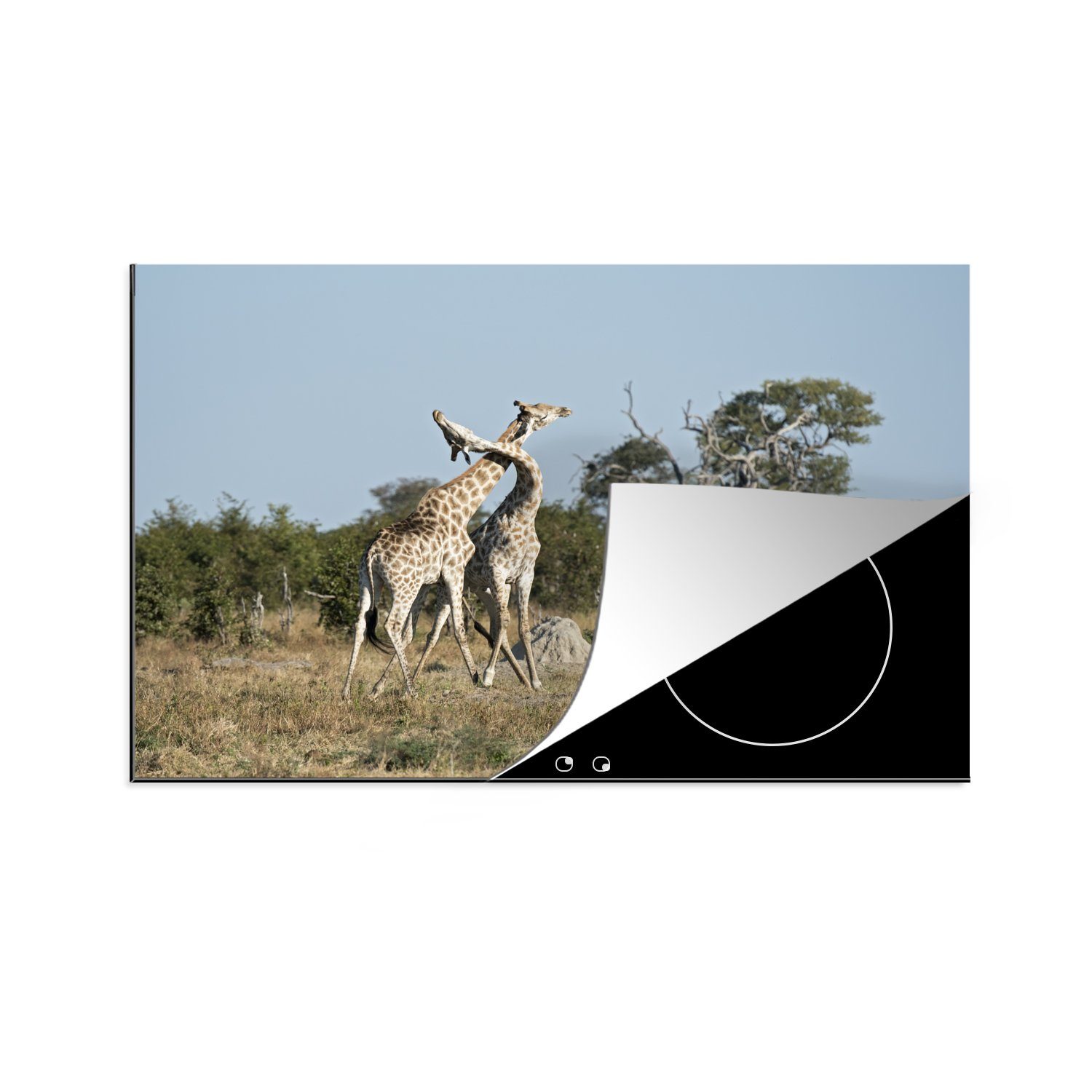 MuchoWow Herdblende-/Abdeckplatte Zwei Giraffen in der Steppe, Vinyl, (1 tlg), 81x52 cm, Induktionskochfeld Schutz für die küche, Ceranfeldabdeckung
