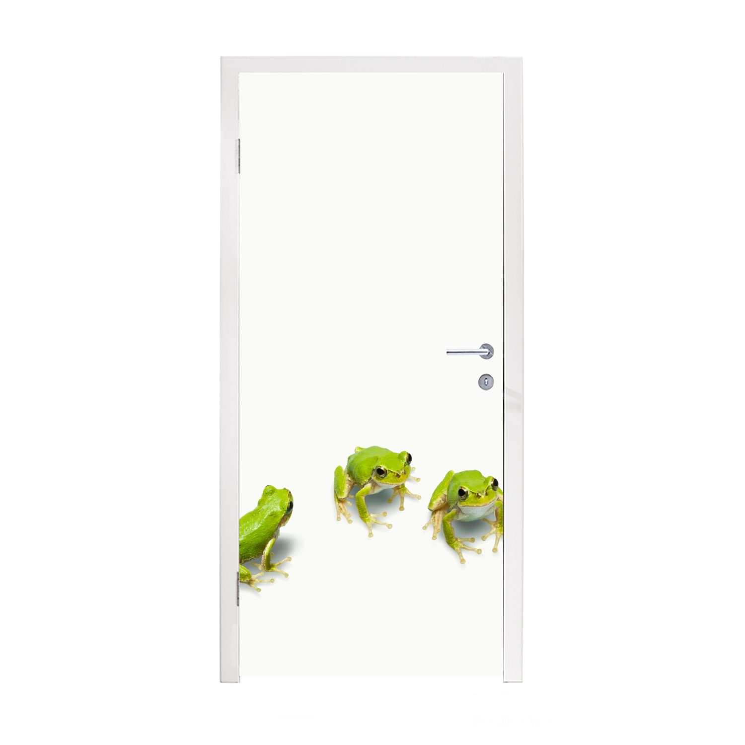 MuchoWow Türtapete Frosch - Tiere - Grün, Matt, bedruckt, (1 St), Fototapete für Tür, Türaufkleber, 75x205 cm