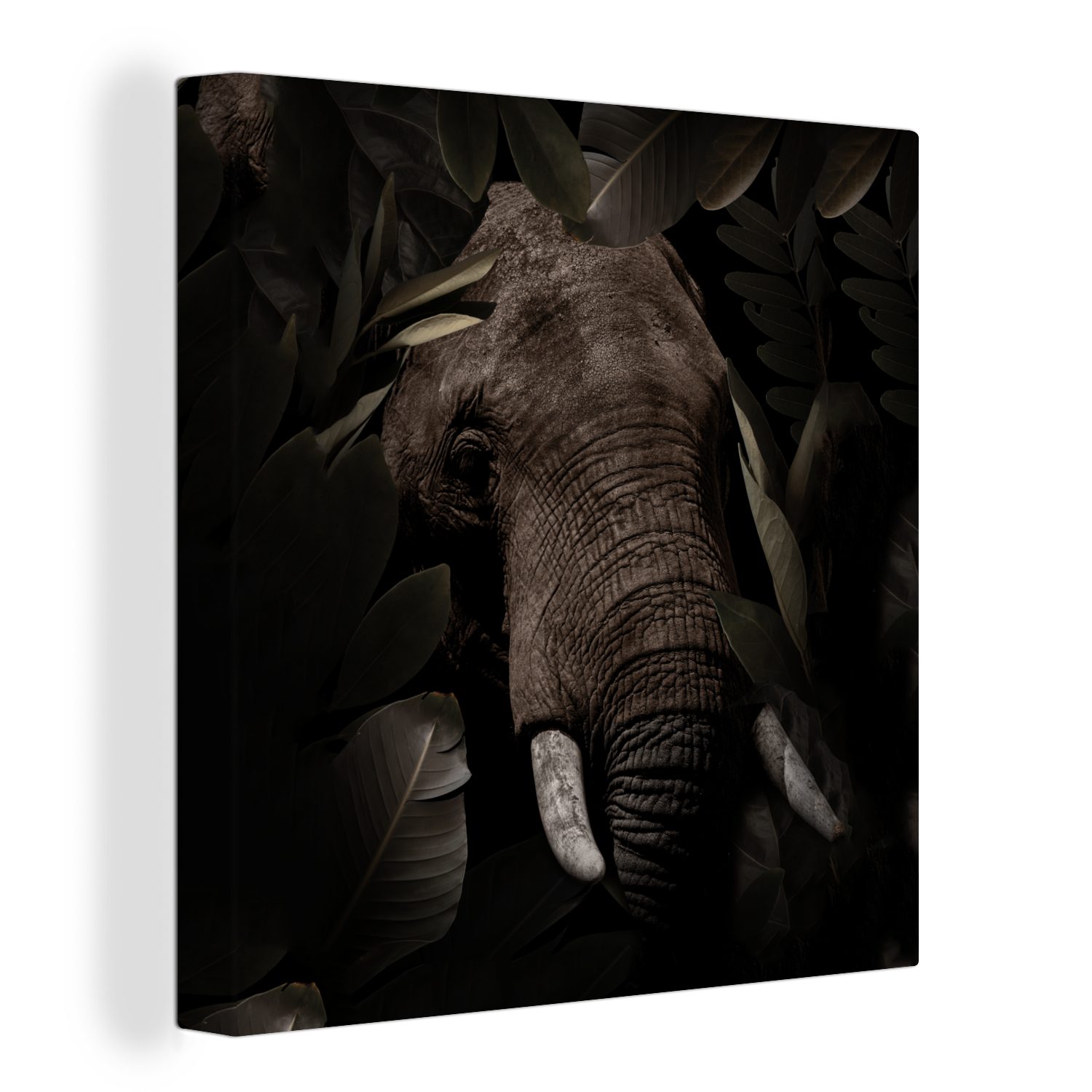 OneMillionCanvasses® Leinwandbild Elefant - Tiere - Blätter - Botanisch, (1 St), Leinwand Bilder für Wohnzimmer Schlafzimmer
