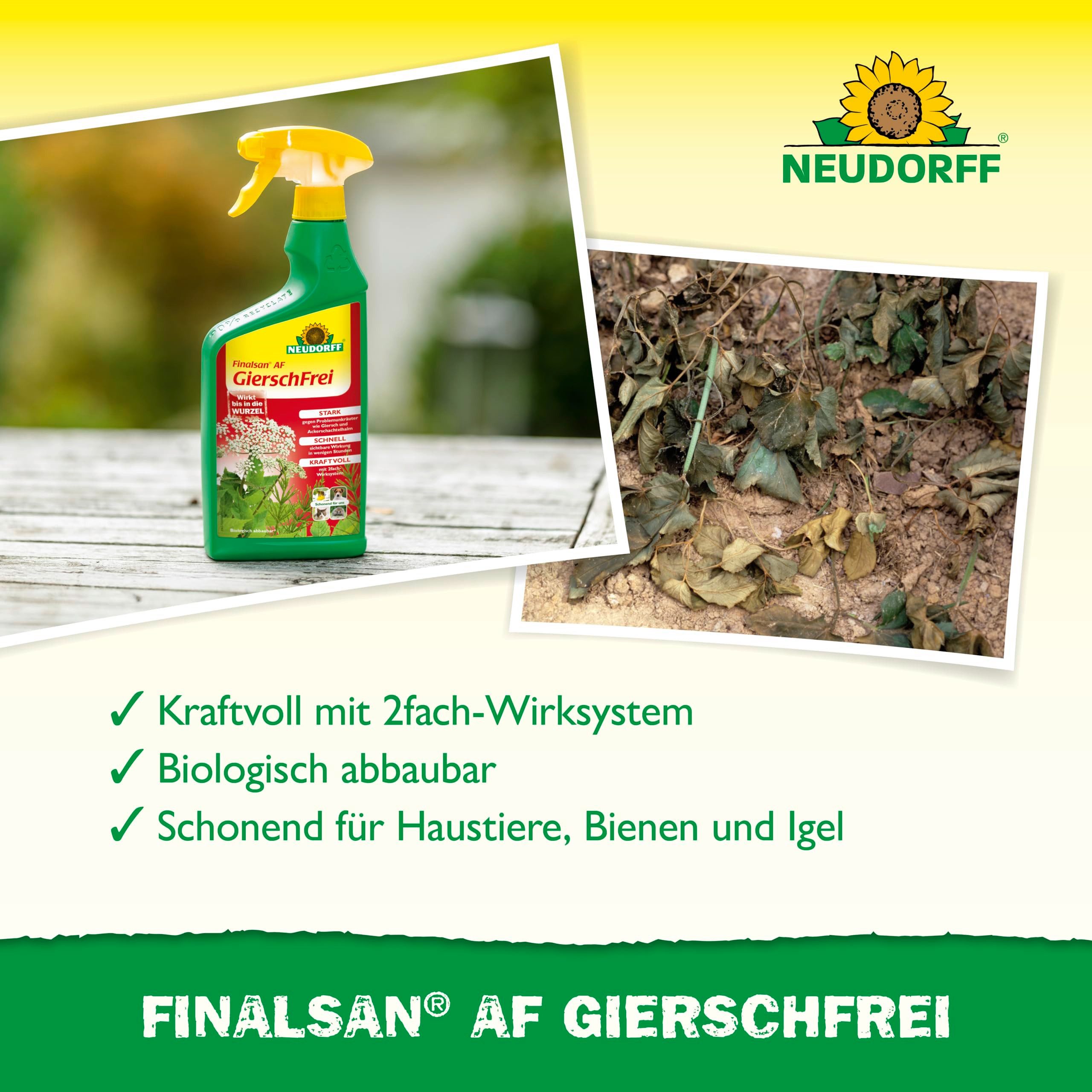 Neudorff Unkrautbekämpfungsmittel Finalsan AF GierschFrei 750 ml für 25 m², 750 ml, schonend für Haustiere, Unkraut entferner ohne Glyphosat, Schnell wirkend, gegen Giersch und Ackerschachtelhalm, Wirkt bis in die Wurzel und hält wochenlang an