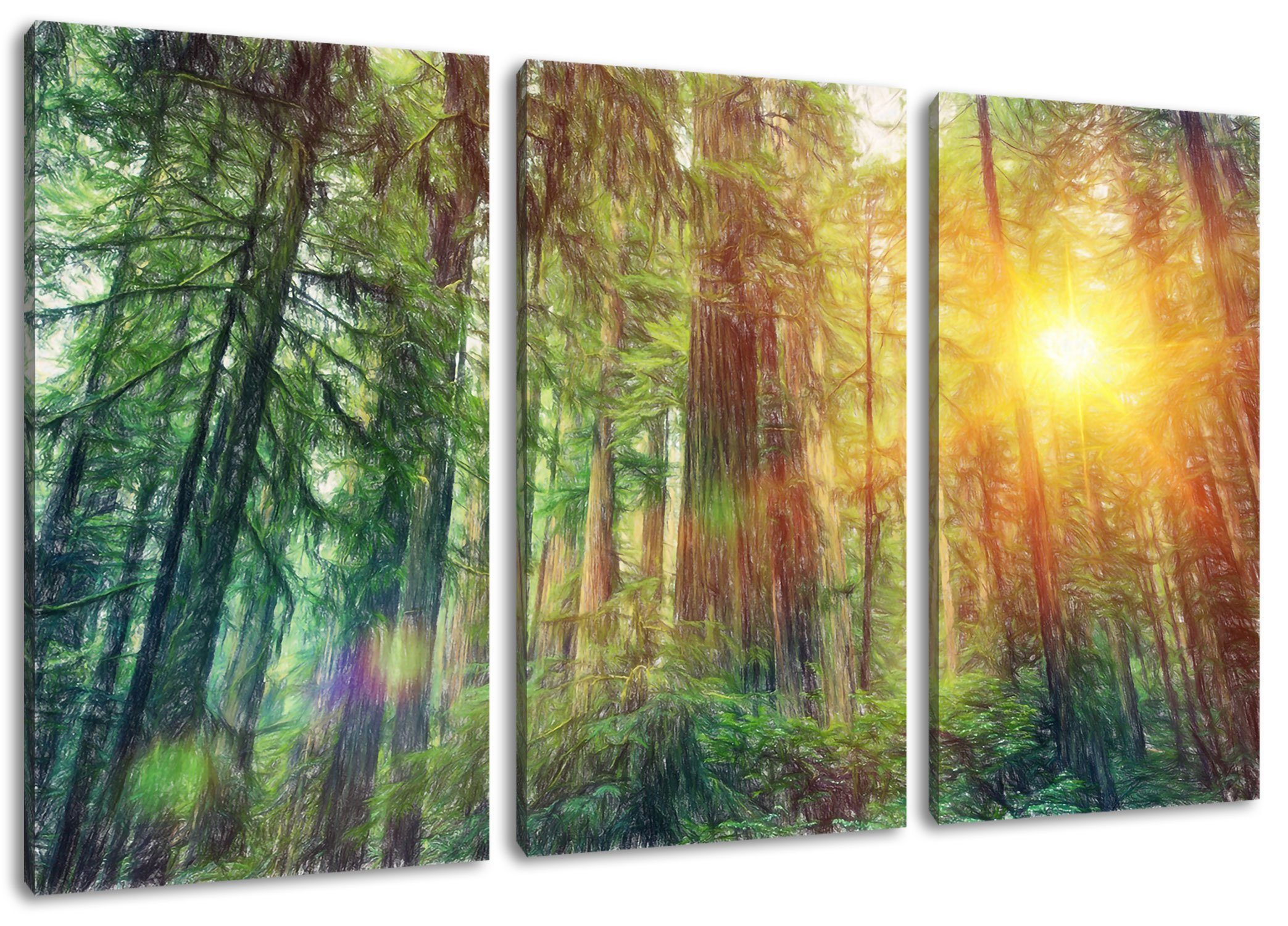 Pixxprint Leinwandbild Wald bei Sonnenlicht, Wald bei Sonnenlicht 3Teiler (120x80cm) (1 St), Leinwandbild fertig bespannt, inkl. Zackenaufhänger