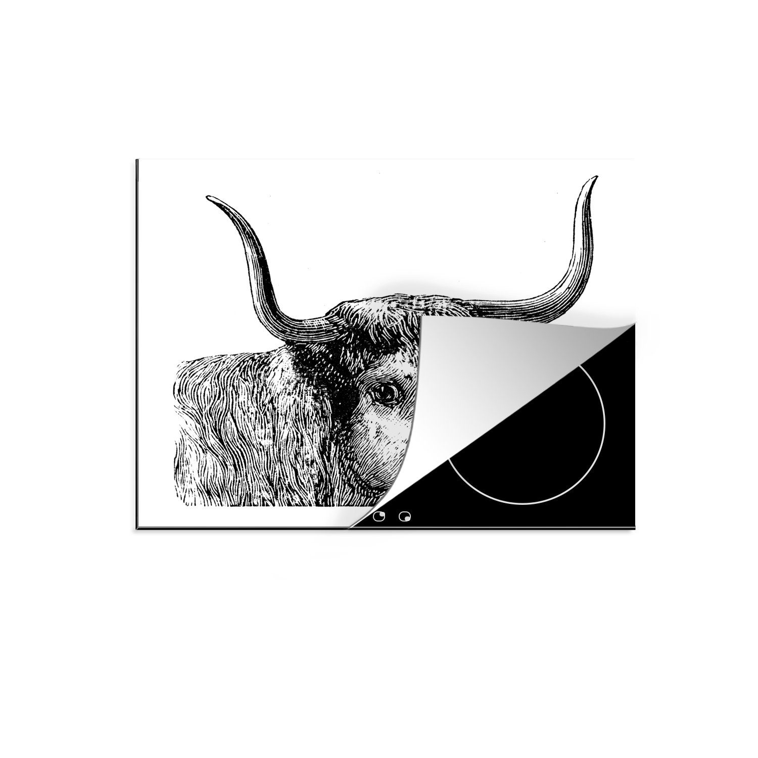 MuchoWow Herdblende-/Abdeckplatte Schottischer Highlander - Horn - Antiquitäten - Illustration, Vinyl, (1 tlg), 60x52 cm, Mobile Arbeitsfläche nutzbar, Ceranfeldabdeckung