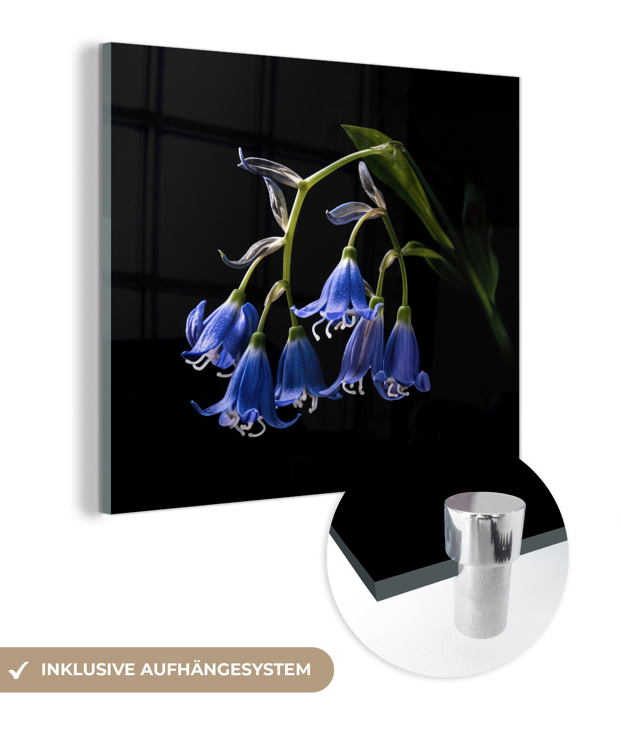 Natur - auf (1 Acrylglasbild - - St), Blumen Wandbild Glasbilder Hyazinthe Foto auf - Glas Bilder MuchoWow Blau - - Wanddekoration - Glas Schwarz,