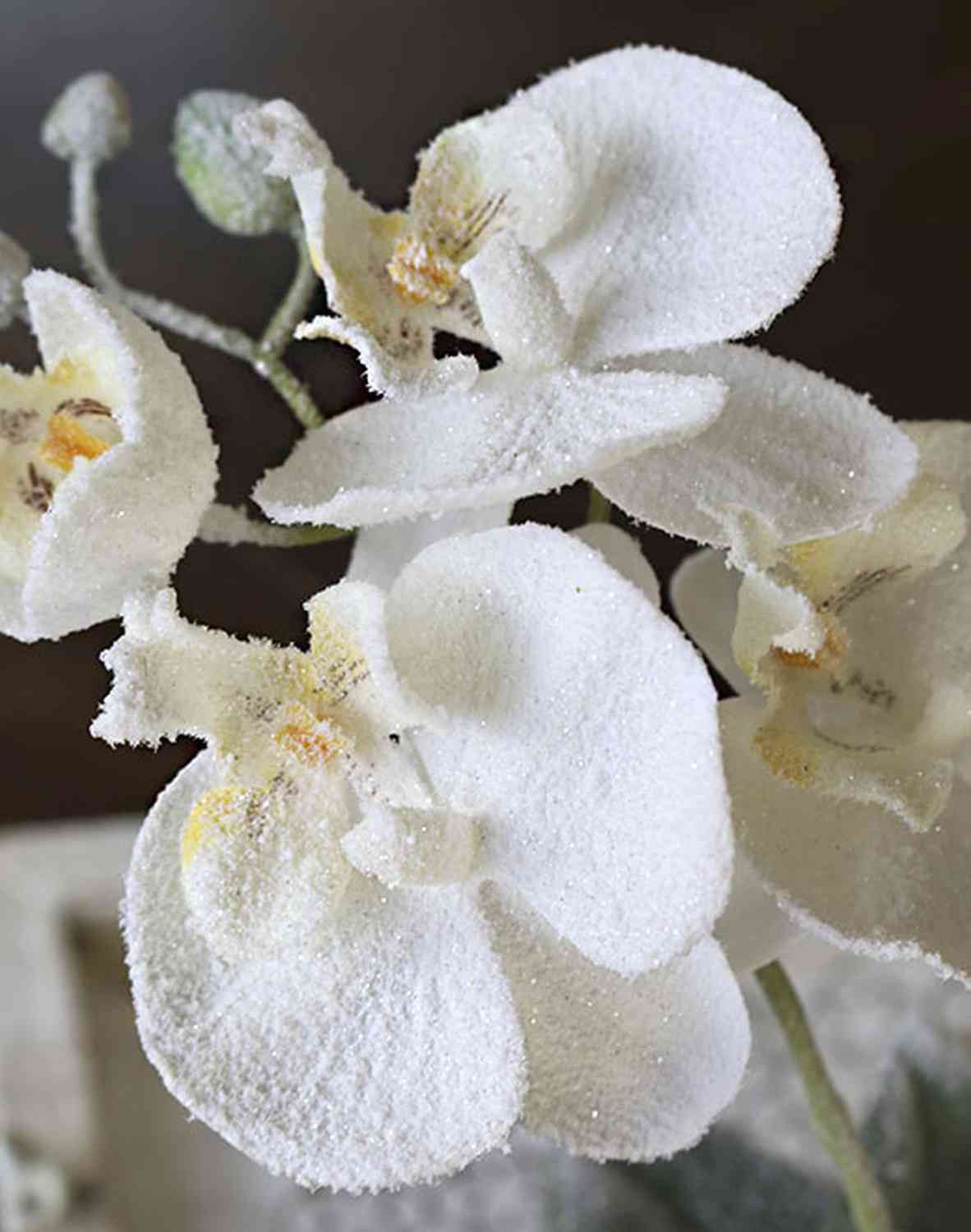 Kunstorchidee Phalaenopsis Orchidee künstlich Karen, Dekotopf, gefroren, weiß, 35cm Orchidee (Orchidee phalaenopsis), artplants, Höhe 35.0 cm