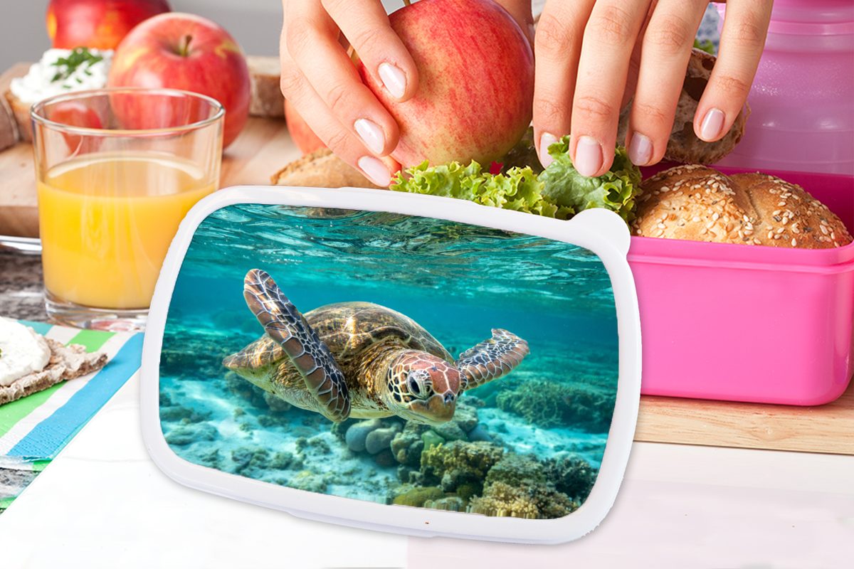 Wasser Kinder, unter in Kunststoff rosa Brotbox Lunchbox Bodennähe, Eine (2-tlg), Snackbox, Kunststoff, Brotdose Mädchen, für Schildkröte schwimmt Erwachsene, MuchoWow