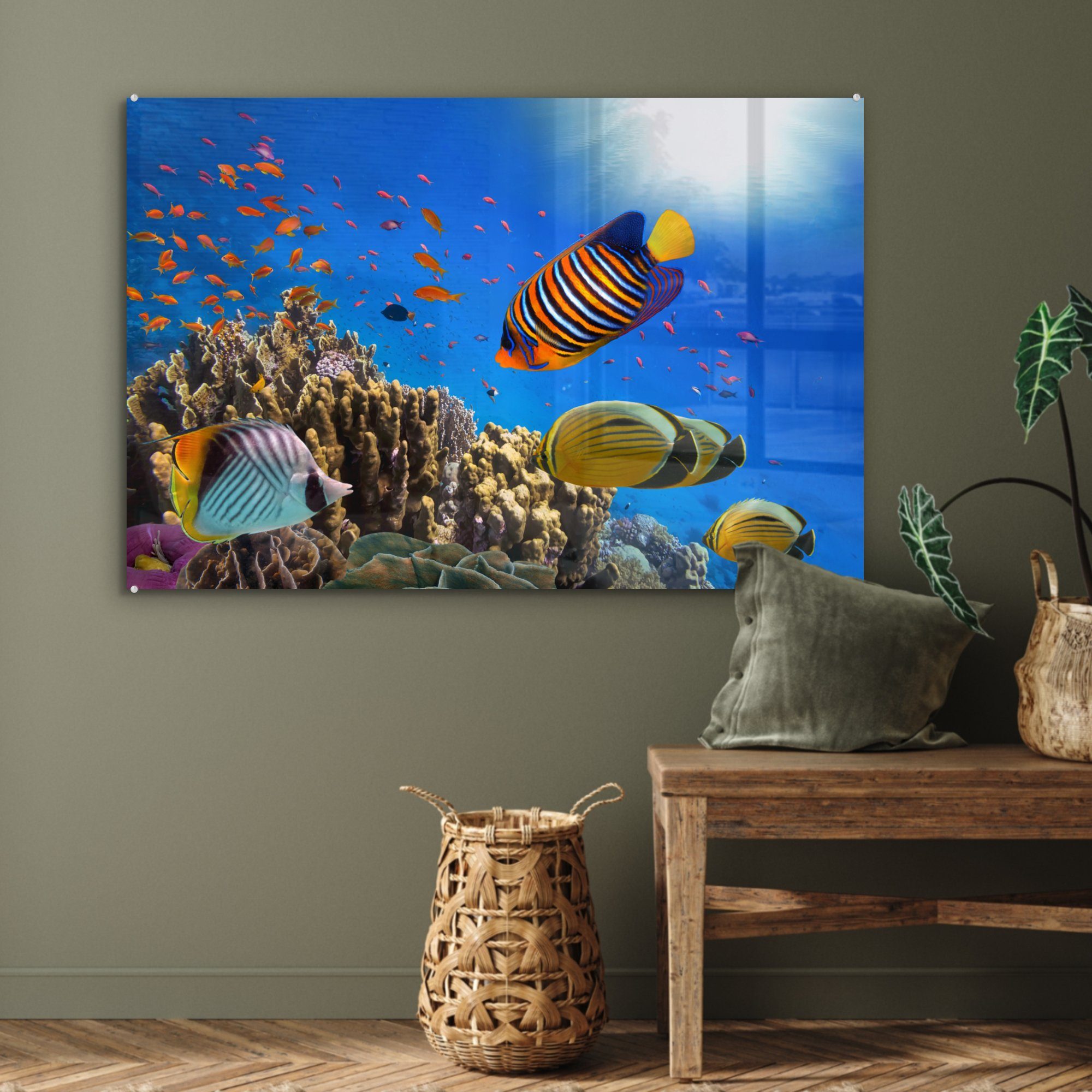 Ägypten, MuchoWow & Wohnzimmer Fische Tropisch Acrylglasbild (1 St), Schlafzimmer Acrylglasbilder - -