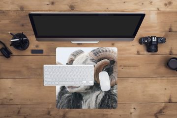 MuchoWow Gaming Mauspad Schafe - Horn - Tiere (1-St), Mousepad mit Rutschfester Unterseite, Gaming, 40x40 cm, XXL, Großes