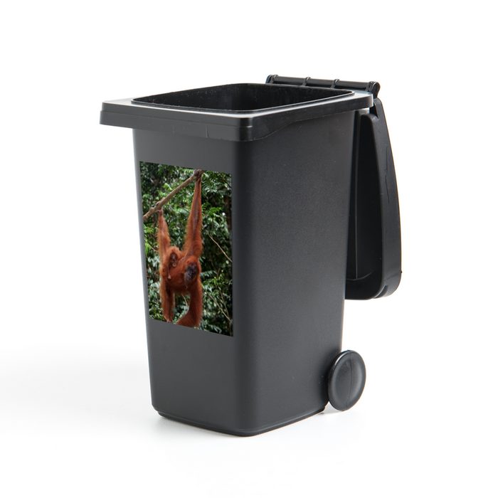MuchoWow Wandsticker Bild eines Sumatra-Orang-Utans mit seinem Jungtier (1 St) Mülleimer-aufkleber Mülltonne Sticker Container Abfalbehälter