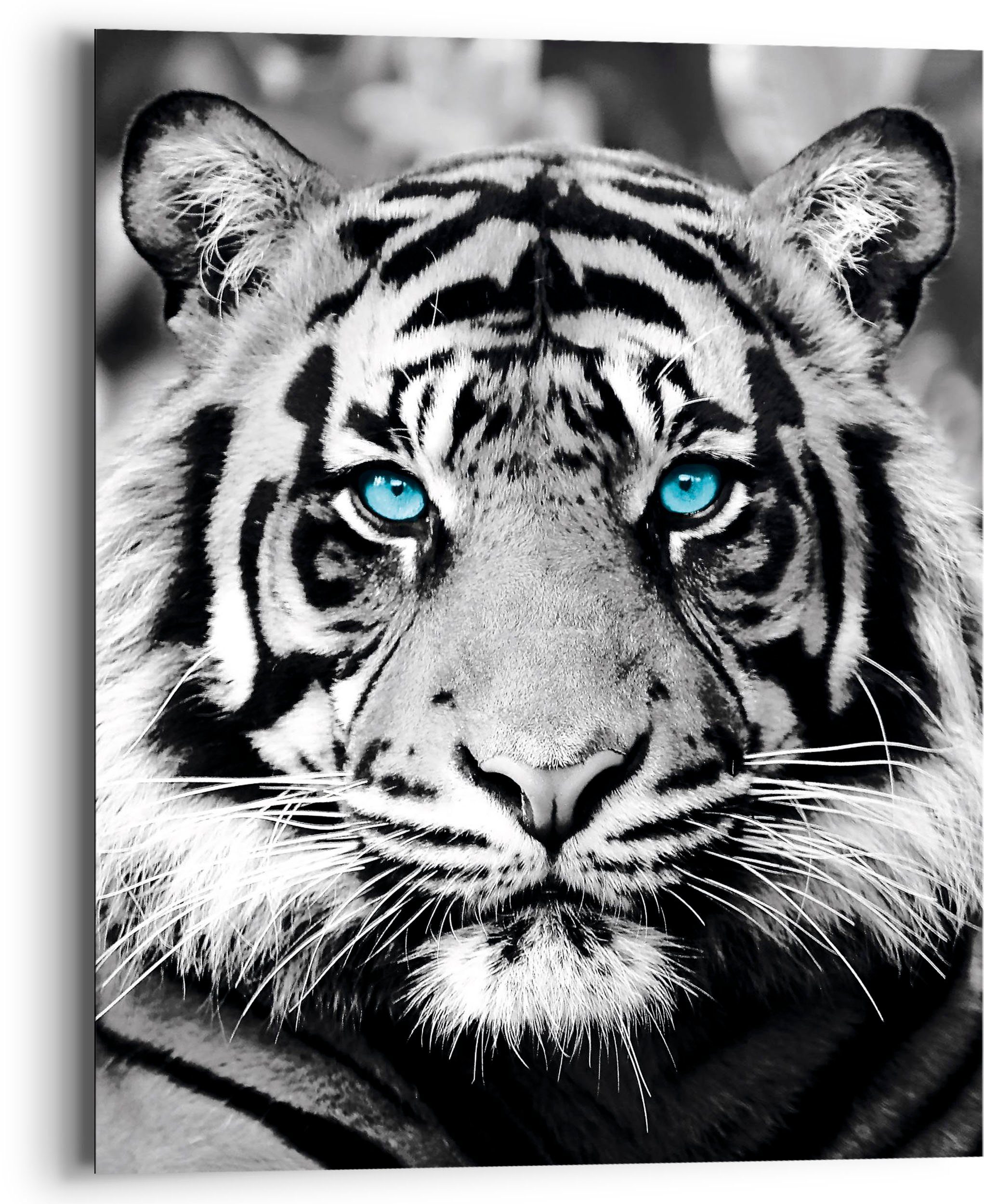 Reinders! Holzbild Blue Eyed Tiger, (1 St)