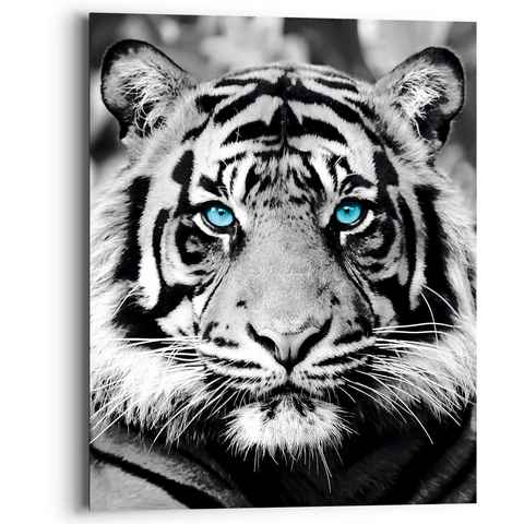 Reinders! Holzbild Blue Eyed Tiger, (1 St)
