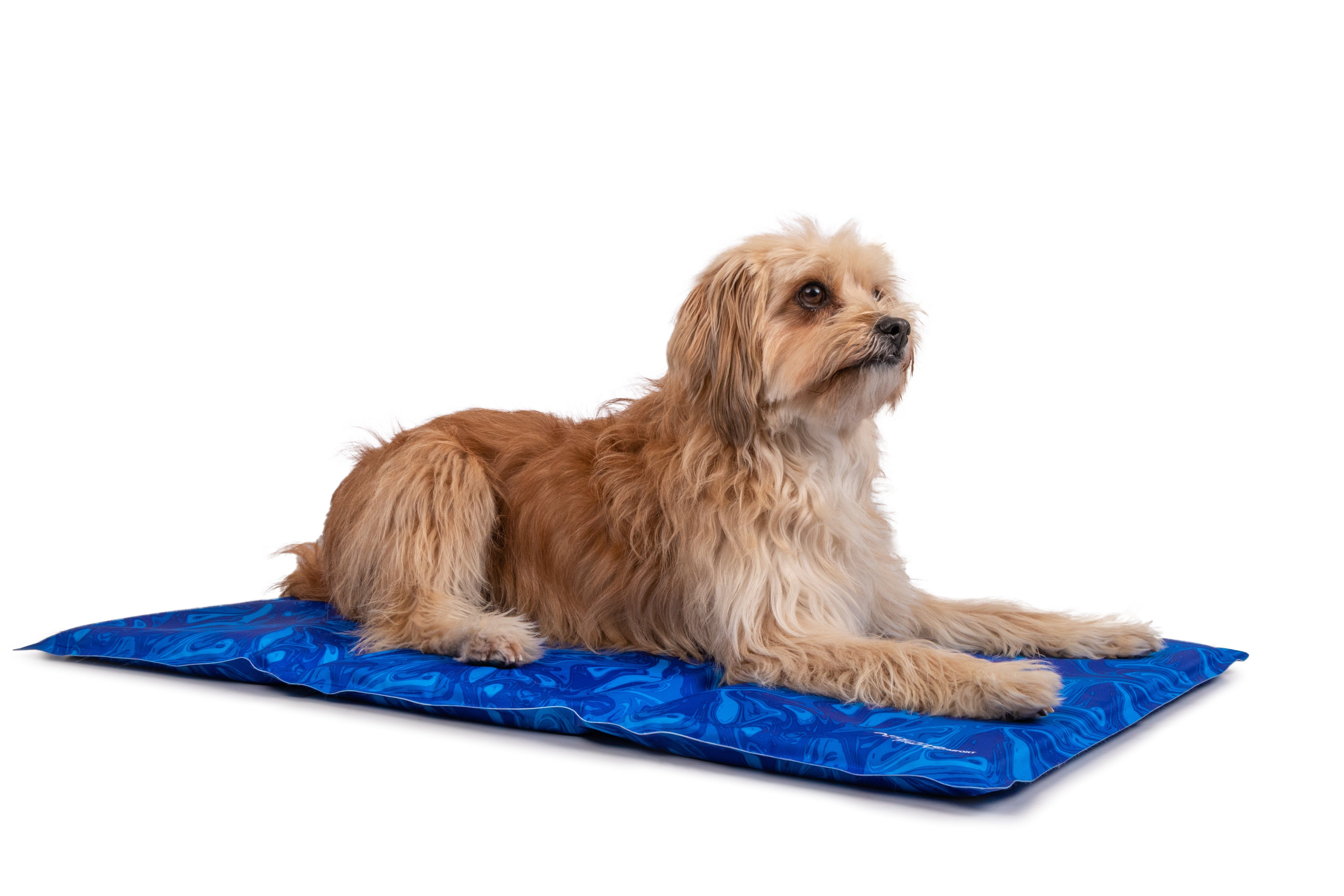 TrendPet Hundematte Arctic Comfort Kühlmatte, 100% günstig online kaufen