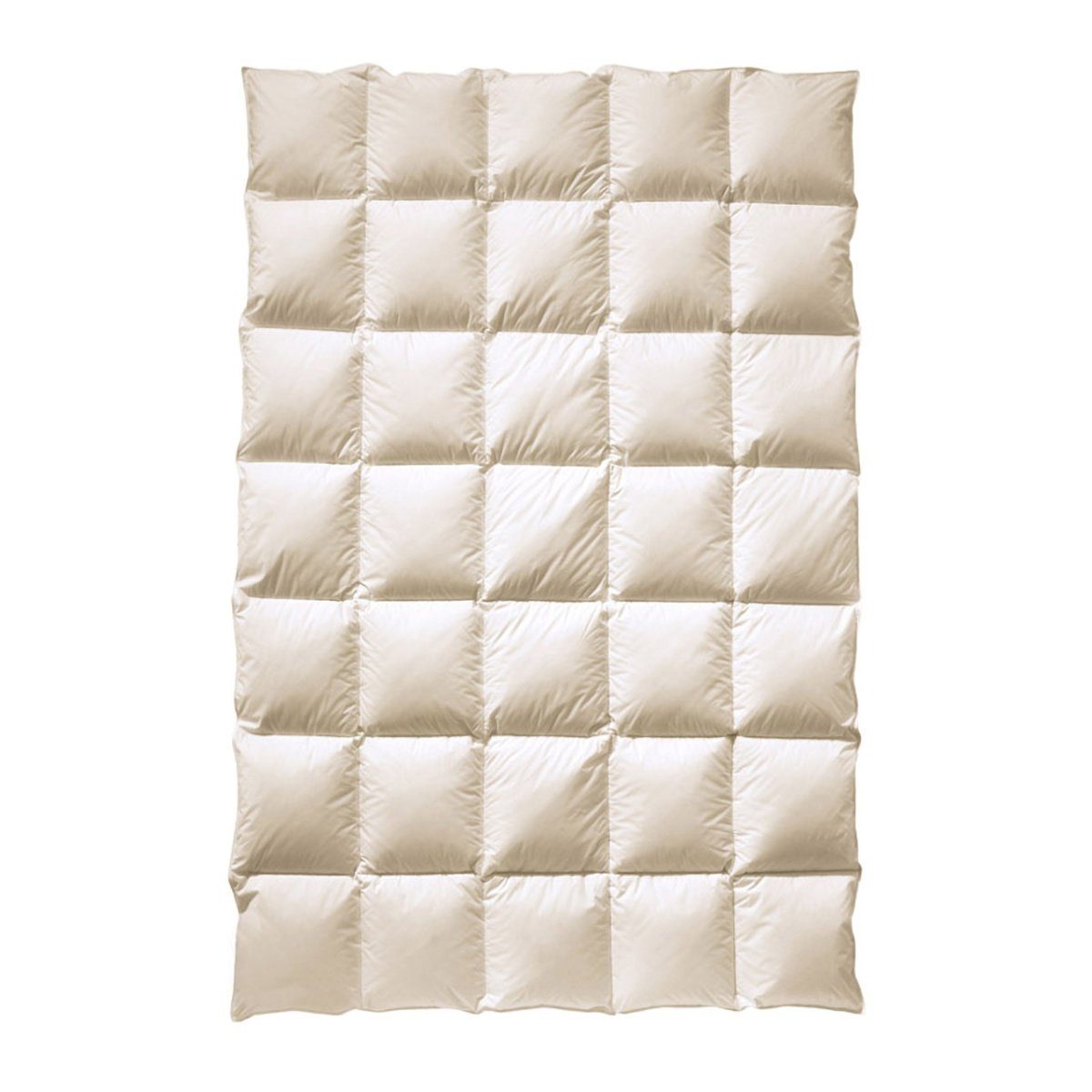 billerbeck Daunenbettdecke Cosidown®, Füllung: Daunen + Federn, Bezug: Baumwolle (Bio), Ganzjahresbettdecke