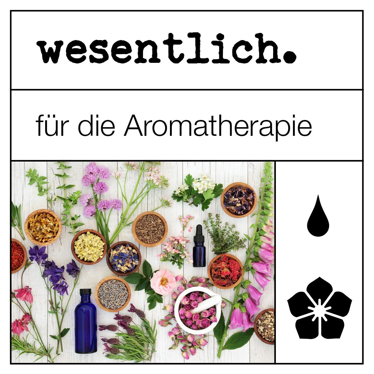 wesentlich. ätherisches 10ml Öl Duftlampe Niauli -