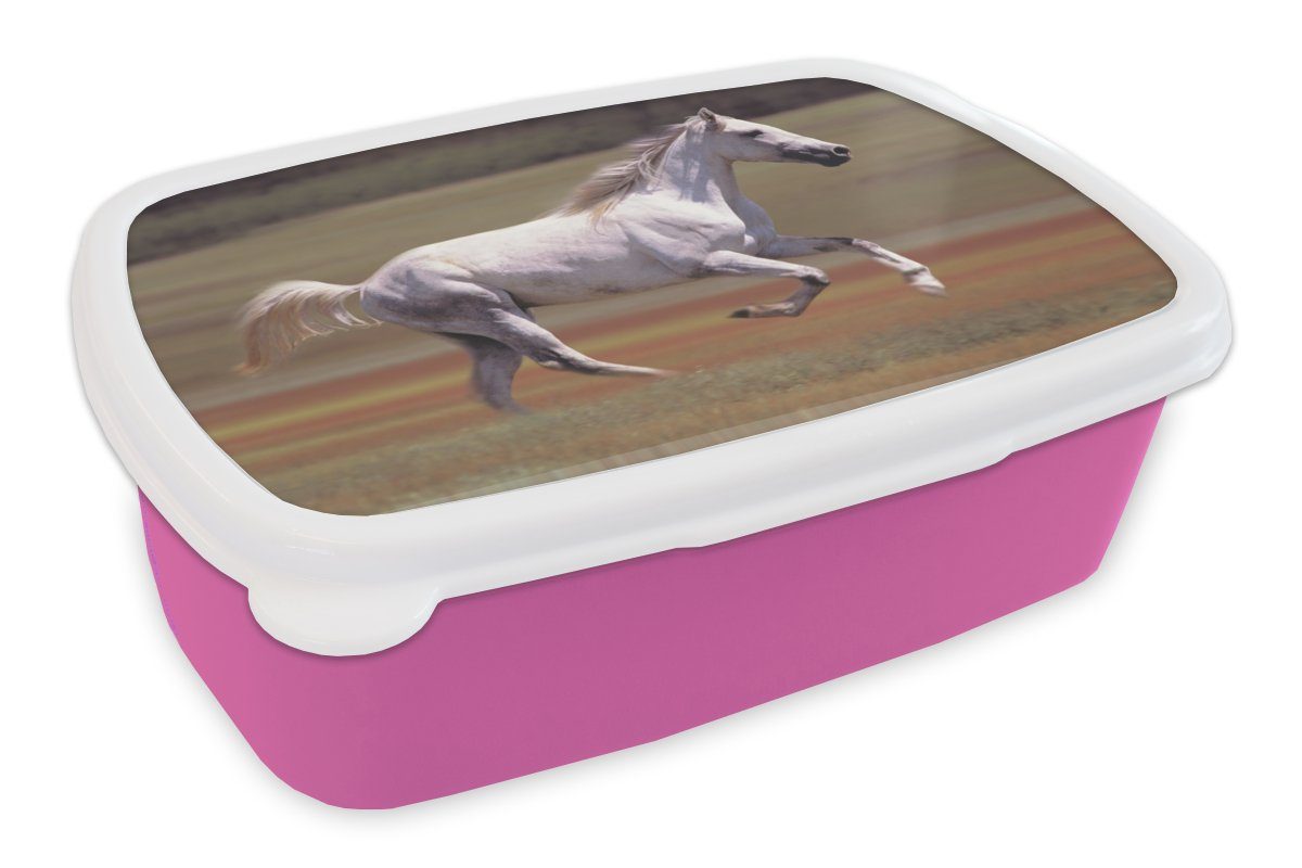MuchoWow Lunchbox Pferd - Licht - Gras, Kunststoff, (2-tlg), Brotbox für Erwachsene, Brotdose Kinder, Snackbox, Mädchen, Kunststoff rosa