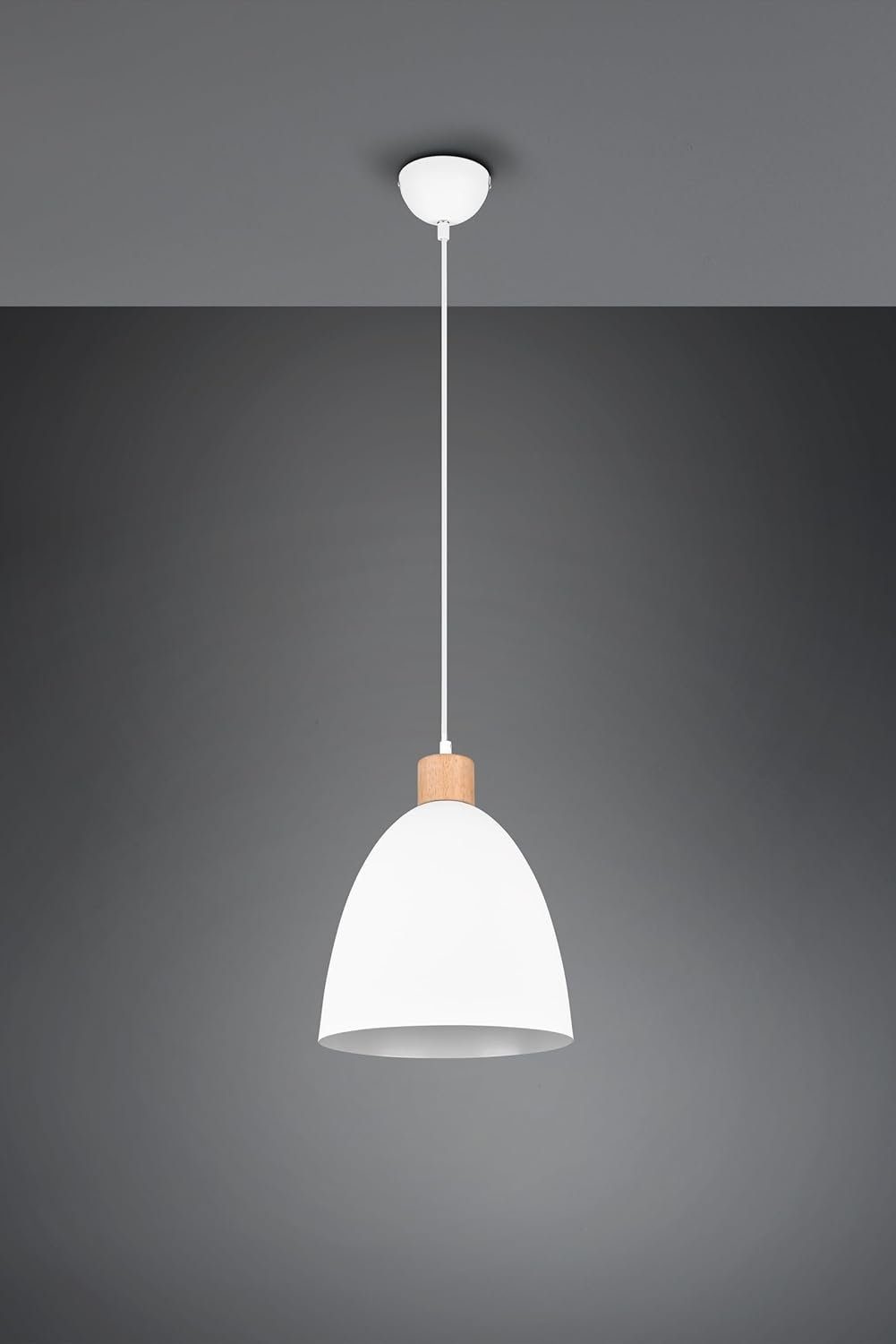 lightling Pendelleuchte Eggert, ohne Leuchtmittel, moderne Pendellampe mit Metallschirm und Elementen aus Holz