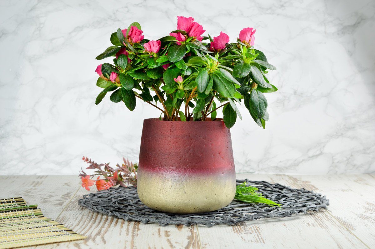 Glasvase Pflanztopf Dekovase Sendez Blumentopf Blumentopf Barbara Tischvase Blumenvase Rot Vase