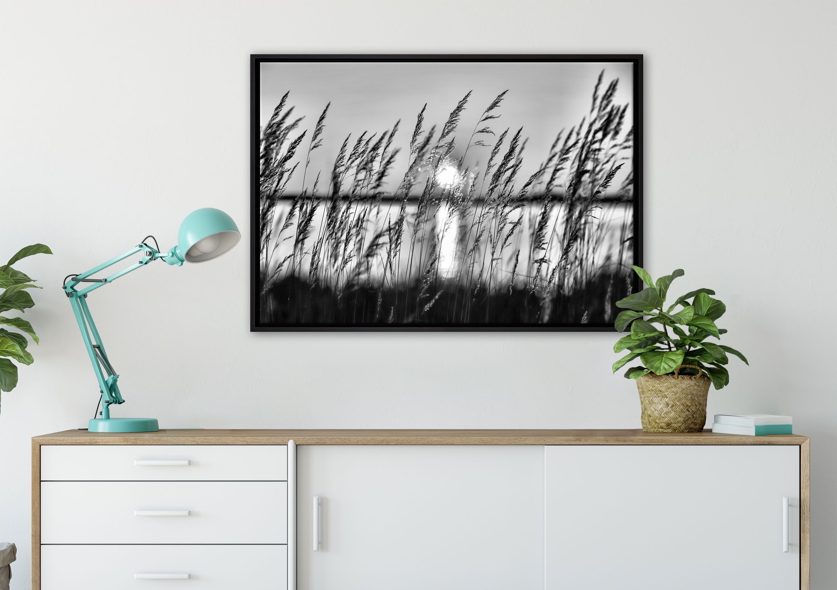 Pixxprint in einem Leinwandbild Gräsern, gefasst, St), Wanddekoration zwischen bespannt, inkl. Schattenfugen-Bilderrahmen Sonne Zackenaufhänger Leinwandbild fertig (1