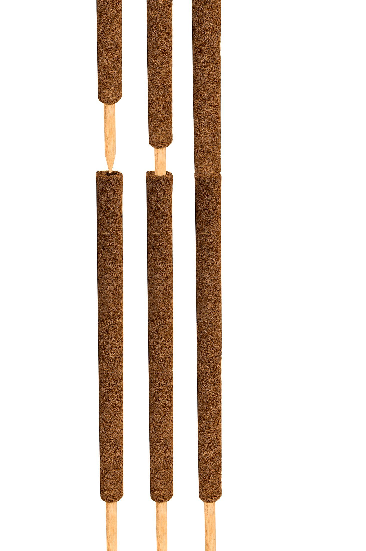 BigDean Ranksäule Kokos Pflanzstab 110 cm Rankstab Rankhilfe Blumenstab Packung, 4 St., 4 Stäbe, Rankhilfe, Monstera Rankhilfe, Pflanzstab aus Kokos, Moosstab – Bild 4 von 5