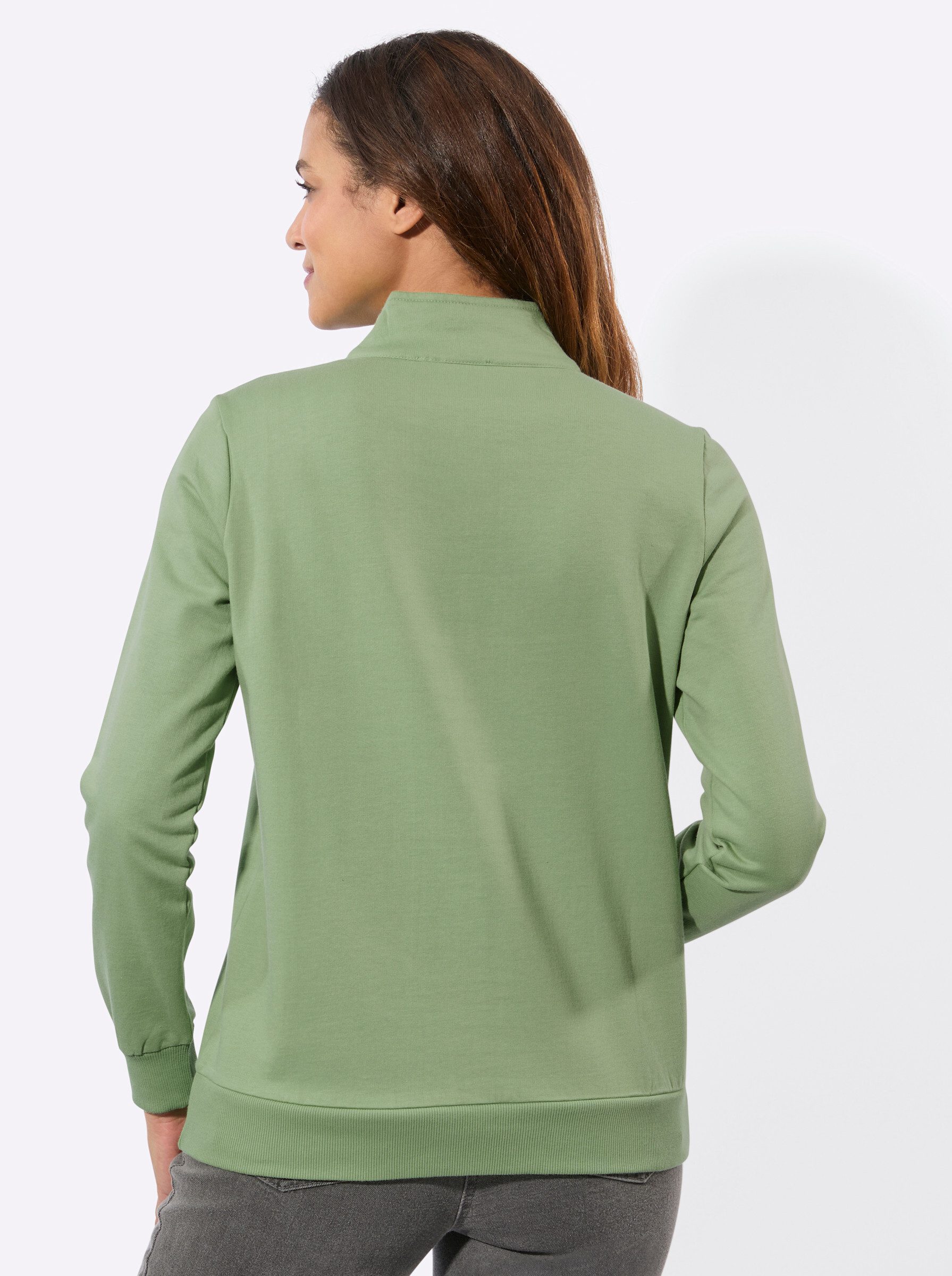 Witt Sweater Sweatshirt Langarm
