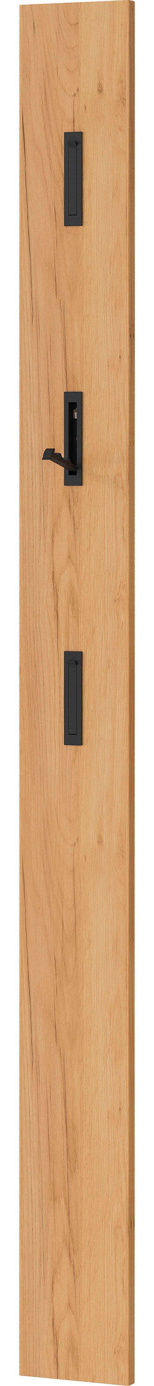 GERMANIA Garderobenpaneel Colorado, mit 3 Klapphaken in schwarz oder alufar günstig online kaufen