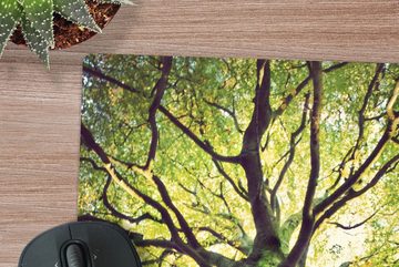 MuchoWow Gaming Mauspad Beruhigende Zweige eines grünen Baumes (1-St), Mousepad mit Rutschfester Unterseite, Gaming, 40x40 cm, XXL, Großes