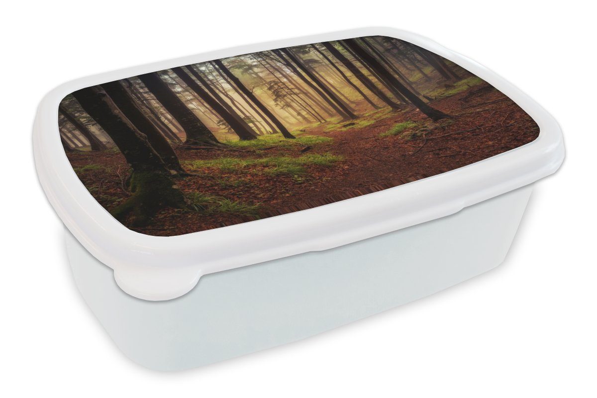 Jungs Wald, weiß - für Erwachsene, und und Mädchen Kunststoff, Lunchbox - Natur für MuchoWow Bäume (2-tlg), Brotbox Kinder Brotdose,