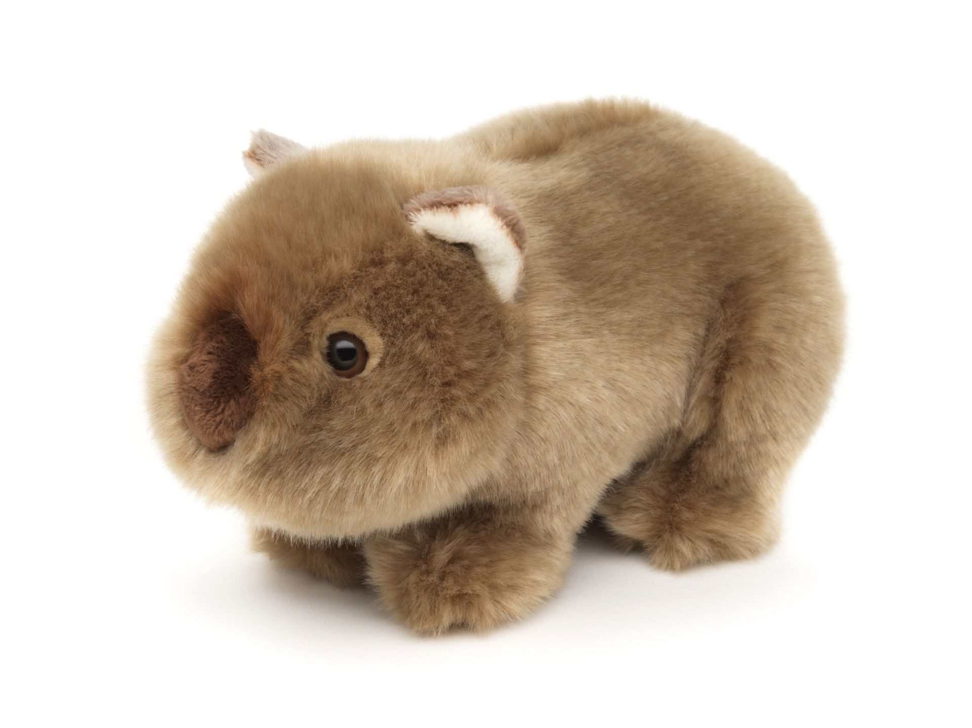 Teddys Rothenburg Kuscheltier Wombat hellbraun 19 cm Plüschwombat Stofftier (Stoffwombat, Plüschtier)